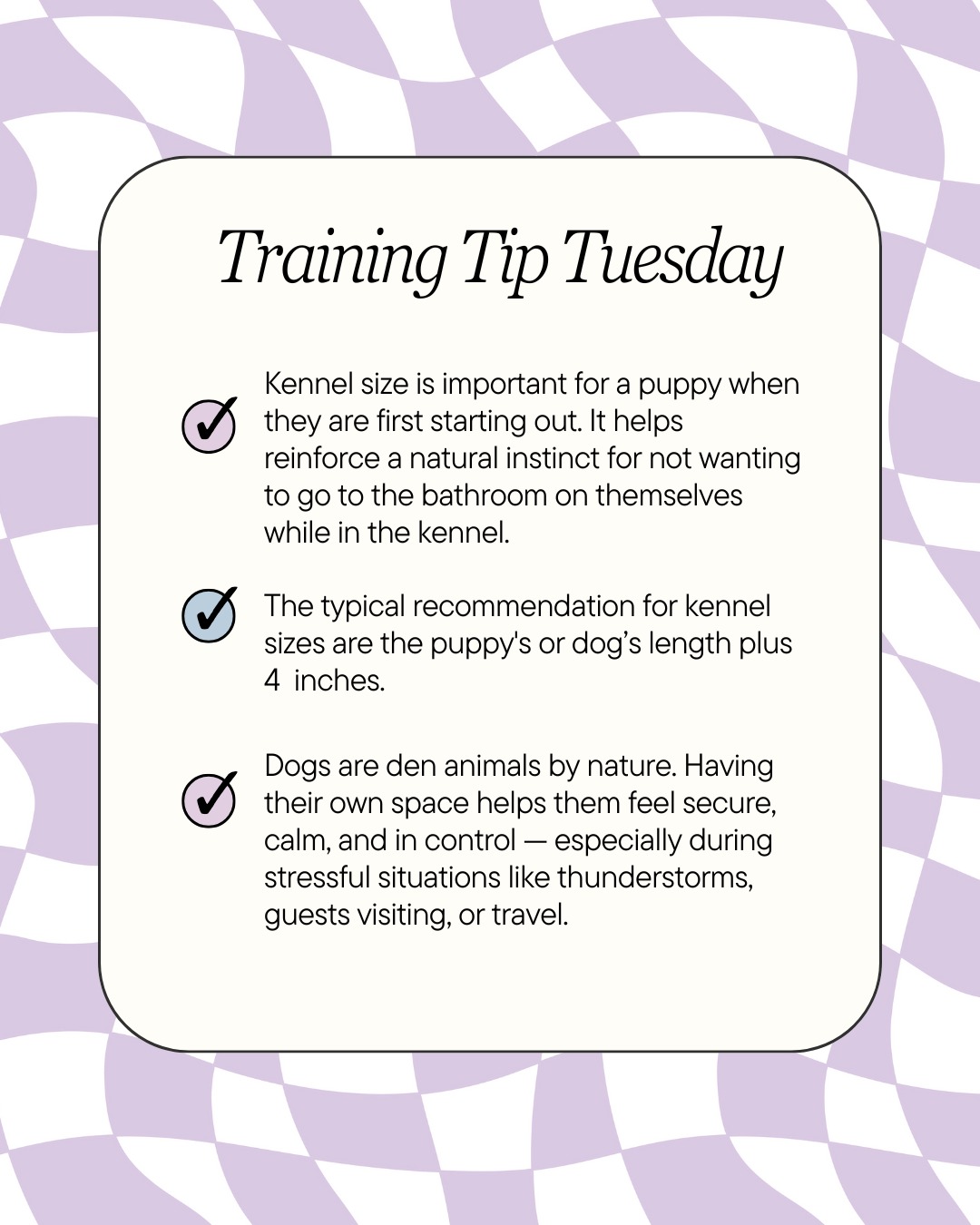 Training Tip Tuesday! A kennel gives your pup a safe space to relax, learn independence, and build confidence. Remember: a crate should always be a positive place filled with calm energy, praise, and maybe a few treats! 🦴✨ 