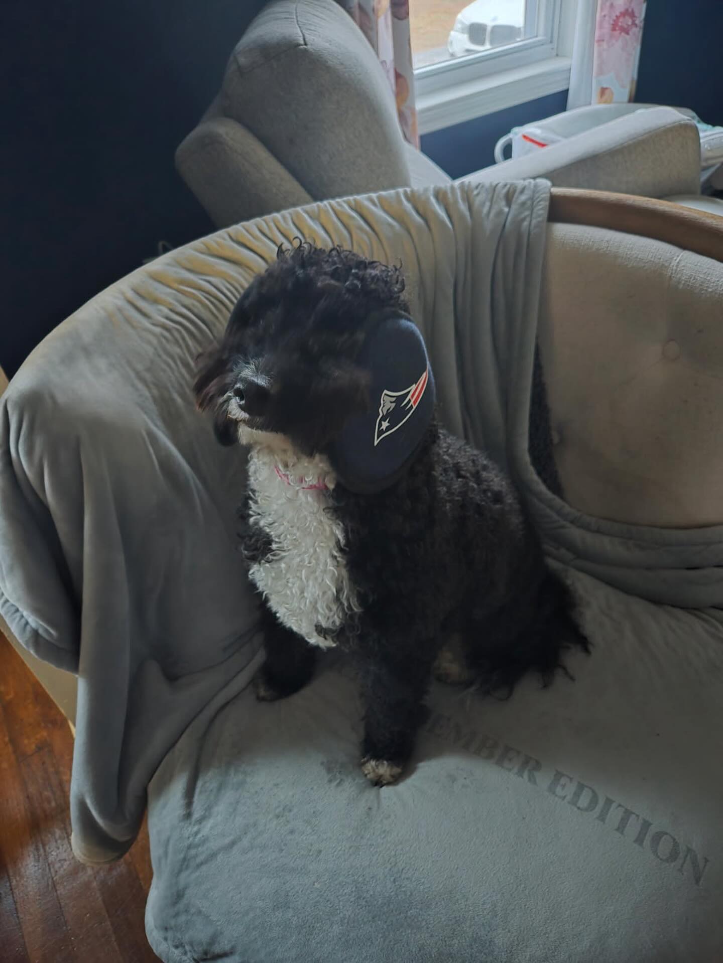 Pack, make some noise! 🎉 Please give Sidnee the warmest welcome&mdash;we&rsquo;re thrilled to have you join us! 🐾🐾🐾