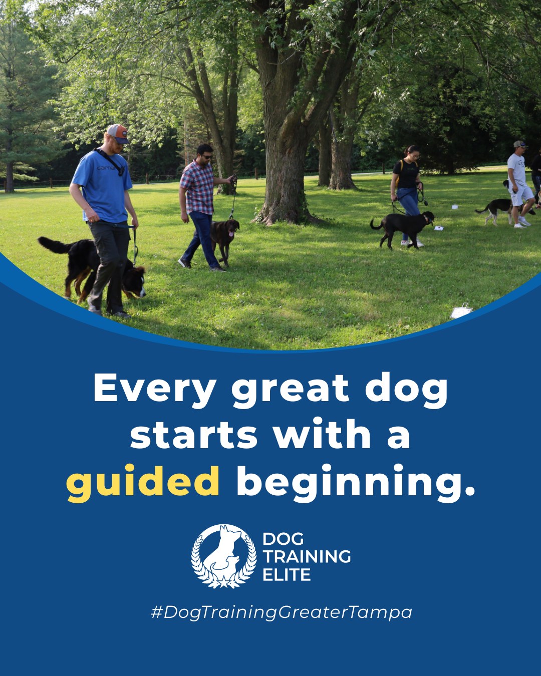 Puppyhood is a critical learning stage. During these early months, dogs develop the skills that shape how they respond to people, environments, and new experiences for life.

Clear guidance and consistent training help puppies build trust, confidence, and reliable communication. Early structure teaches them how to stay calm, focus, and adapt, making everyday situations easier as they grow. The foundation built now influences behavior well into adulthood.

 🎯Warm up your winter with a well-trained pup. Schedule your free in-home evaluation and see why families in Wesley Chapel, Land O' Lakes, and surrounding areas trust Dog Training Elite for results that last through every season.
 📍 https://maps.app.goo.gl/1ZJg4LdYD2tp6W476


