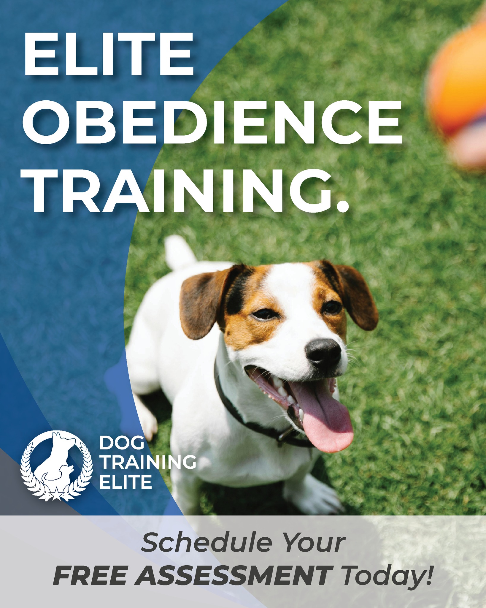 Teaching commands isn&rsquo;t just about rules &mdash; it&rsquo;s about building trust, confidence, and a lifelong bond. 🐕✨

Schedule today! ➡ https://shorturl.at/hPnqA