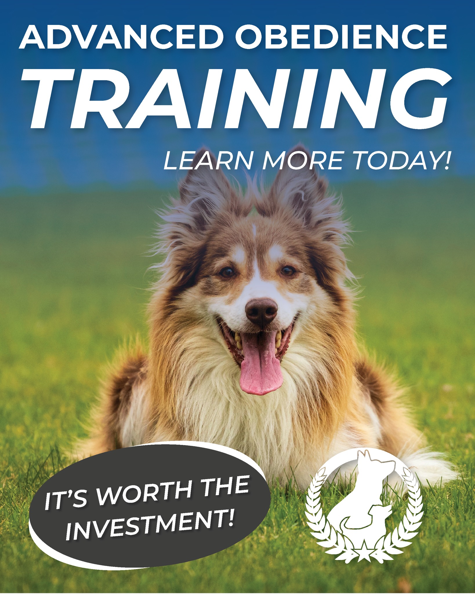 www.dogtrainingelite.com/henderson