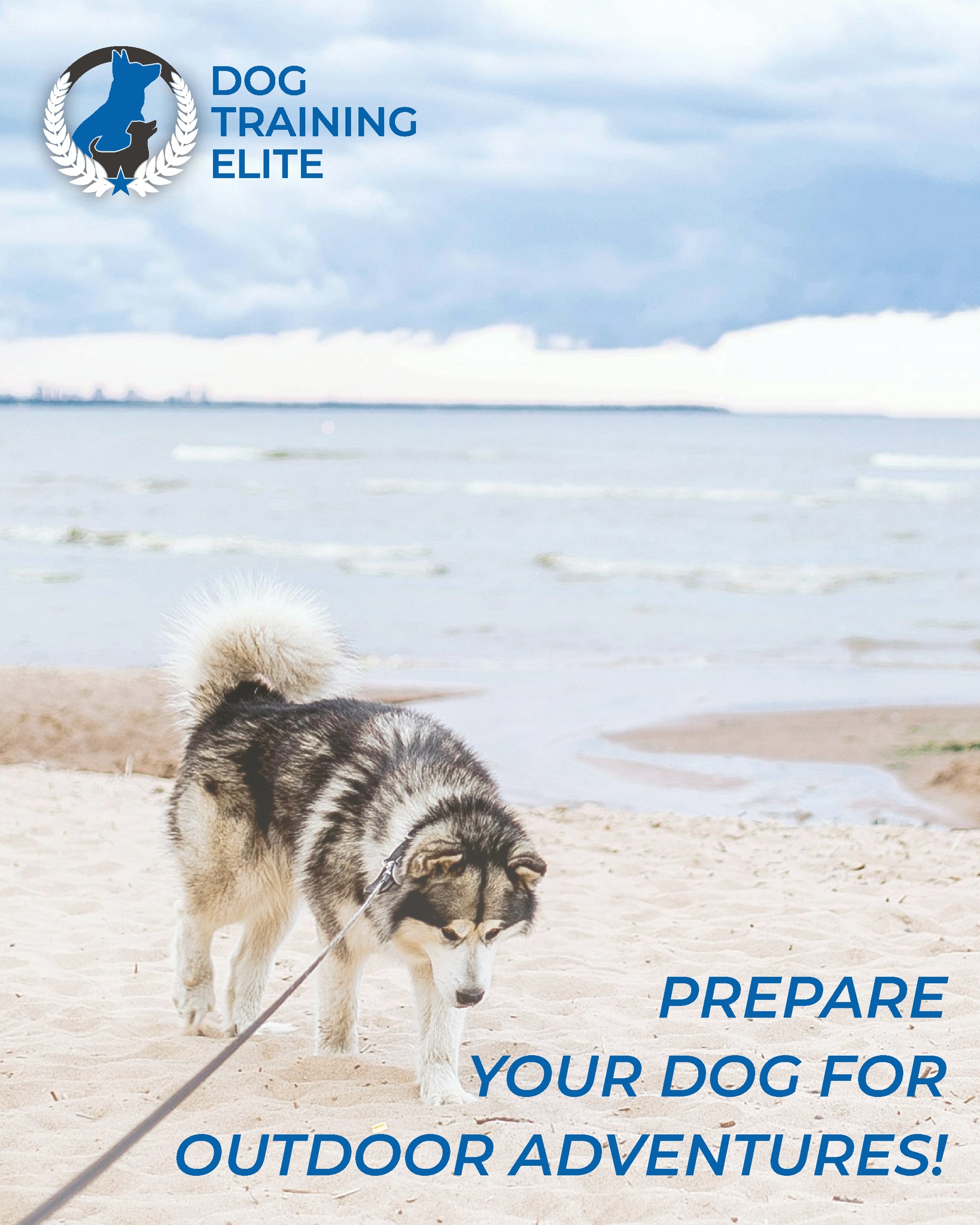 Let us help find you a training program to give you and your pup more freedom outdoors!
www.dogtrainingelite.com/henderson
