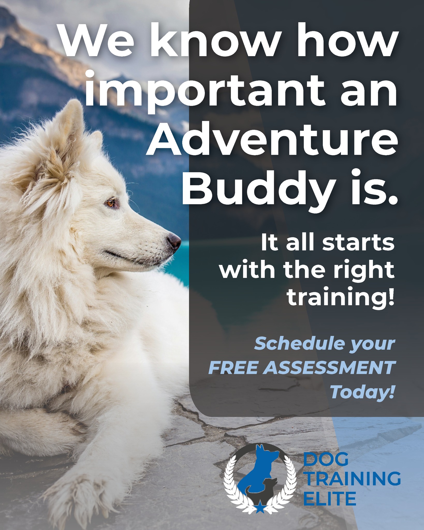 🌲 Ready for epic hikes, trail runs, and off-grid adventures? Your dog can be the ultimate sidekick – but only with rock-solid training! 🐕💪

www.dogtrainingelite.com/henderson

