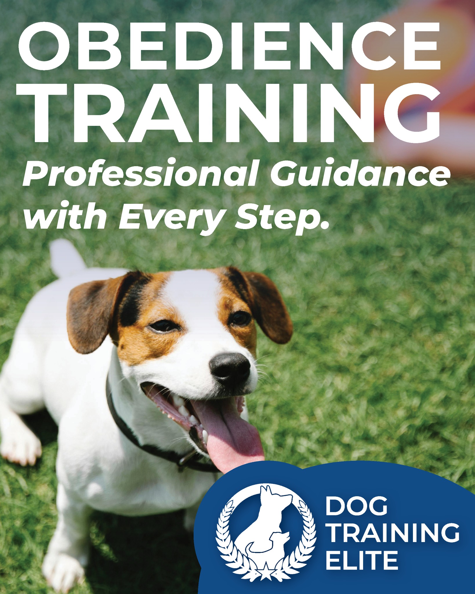www.dogtrainingelite.com/henderson