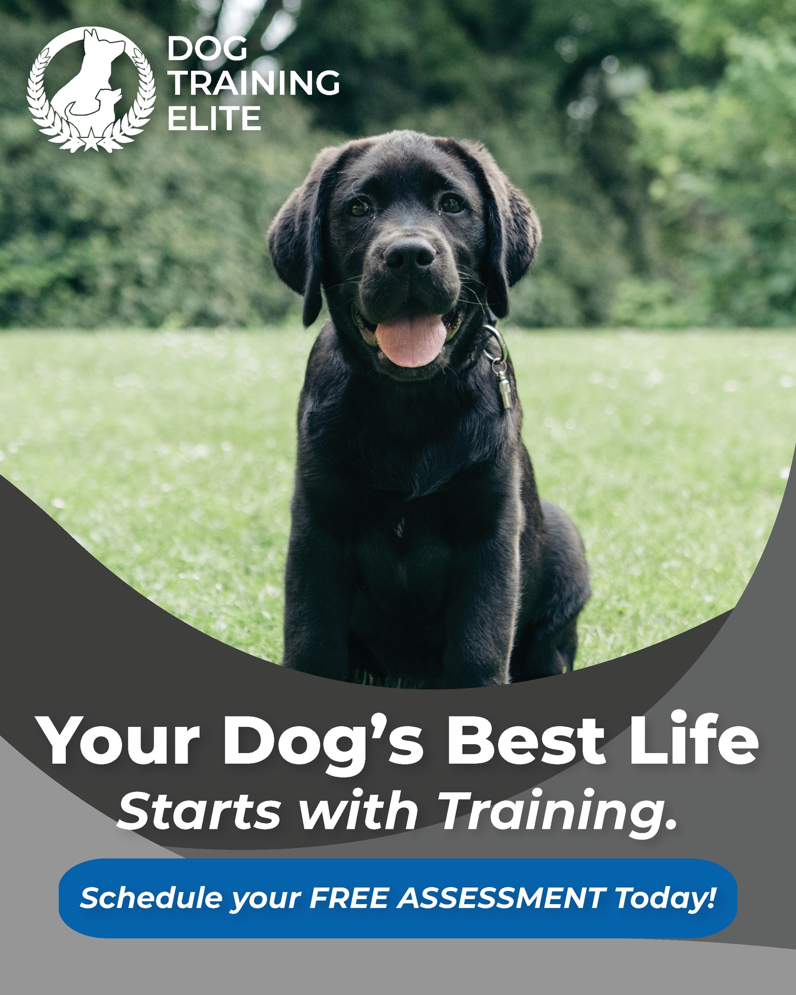 Want your dog to live their best life?
Start with play, patience, and a little bit of training magic. ✨
Because a trained dog isn’t just well-behaved — they’re confident, connected, and full of joy! 🐶💛

www.dogtrainingelite.com/henderson