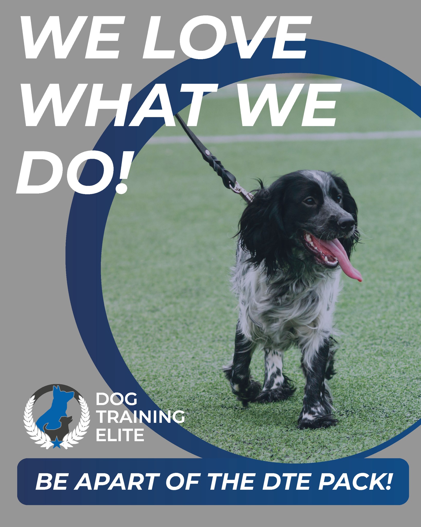 Well-trained pups = less chaos, more calm & cuddles.
Ready for harmony? Let's get started!
Schedule a FREE consultation today!➡ https://shorturl.at/hPnqA