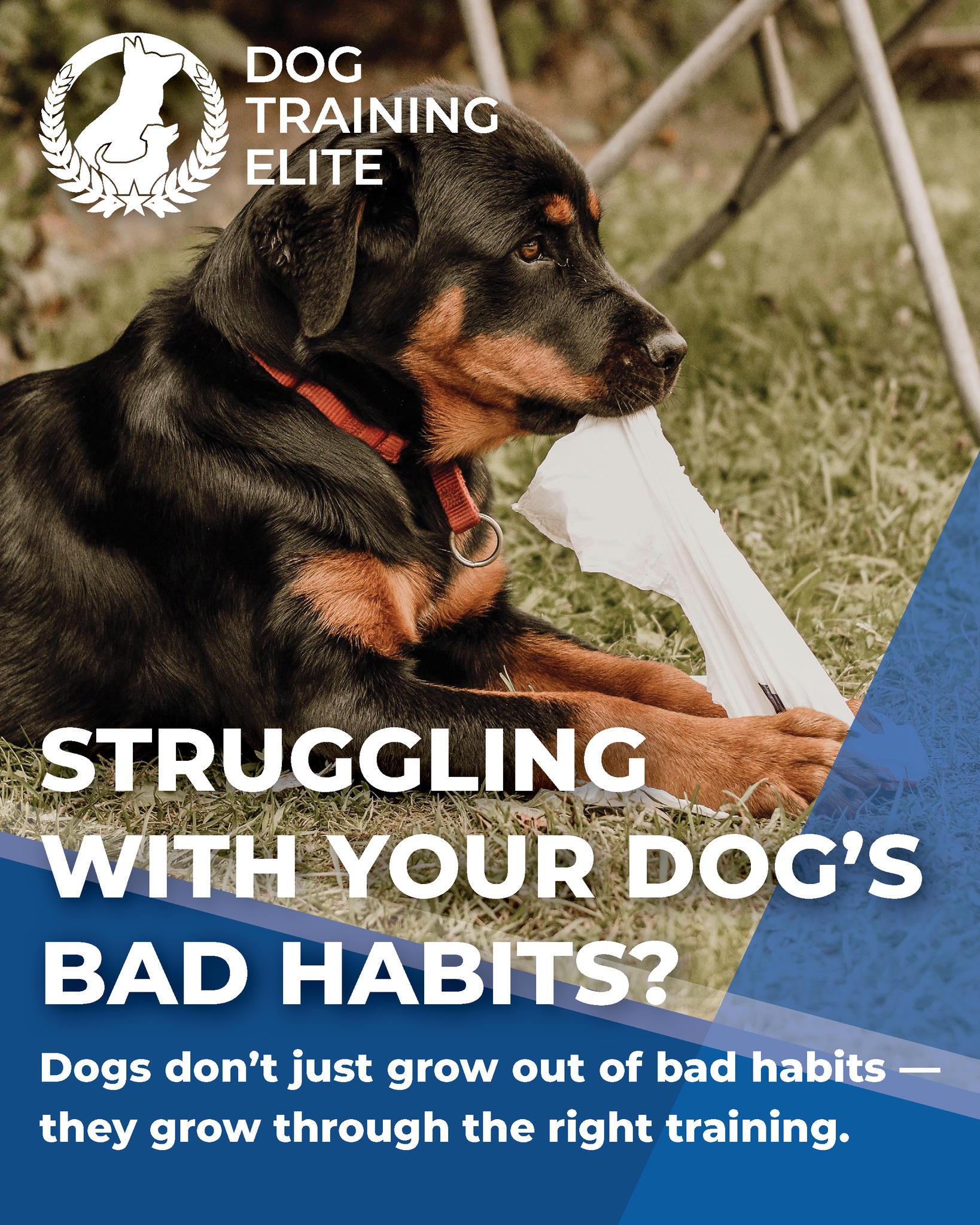 Schedule your free assessment today! ➡ https://shorturl.at/hPnqA