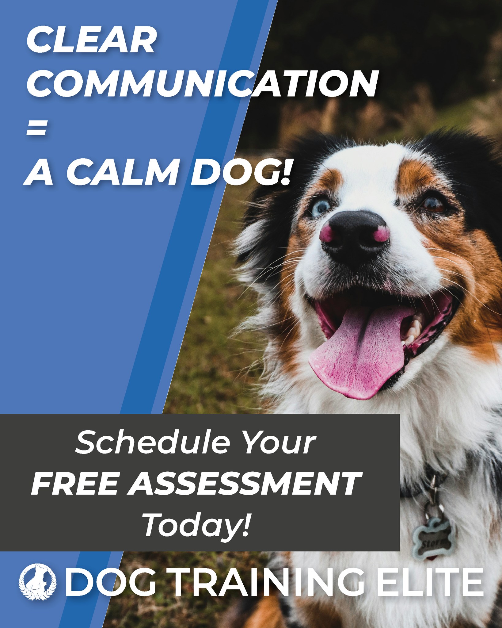 Good training starts with clear communication. 🐾💫

Schedule here ➡ https://shorturl.at/hPnqA