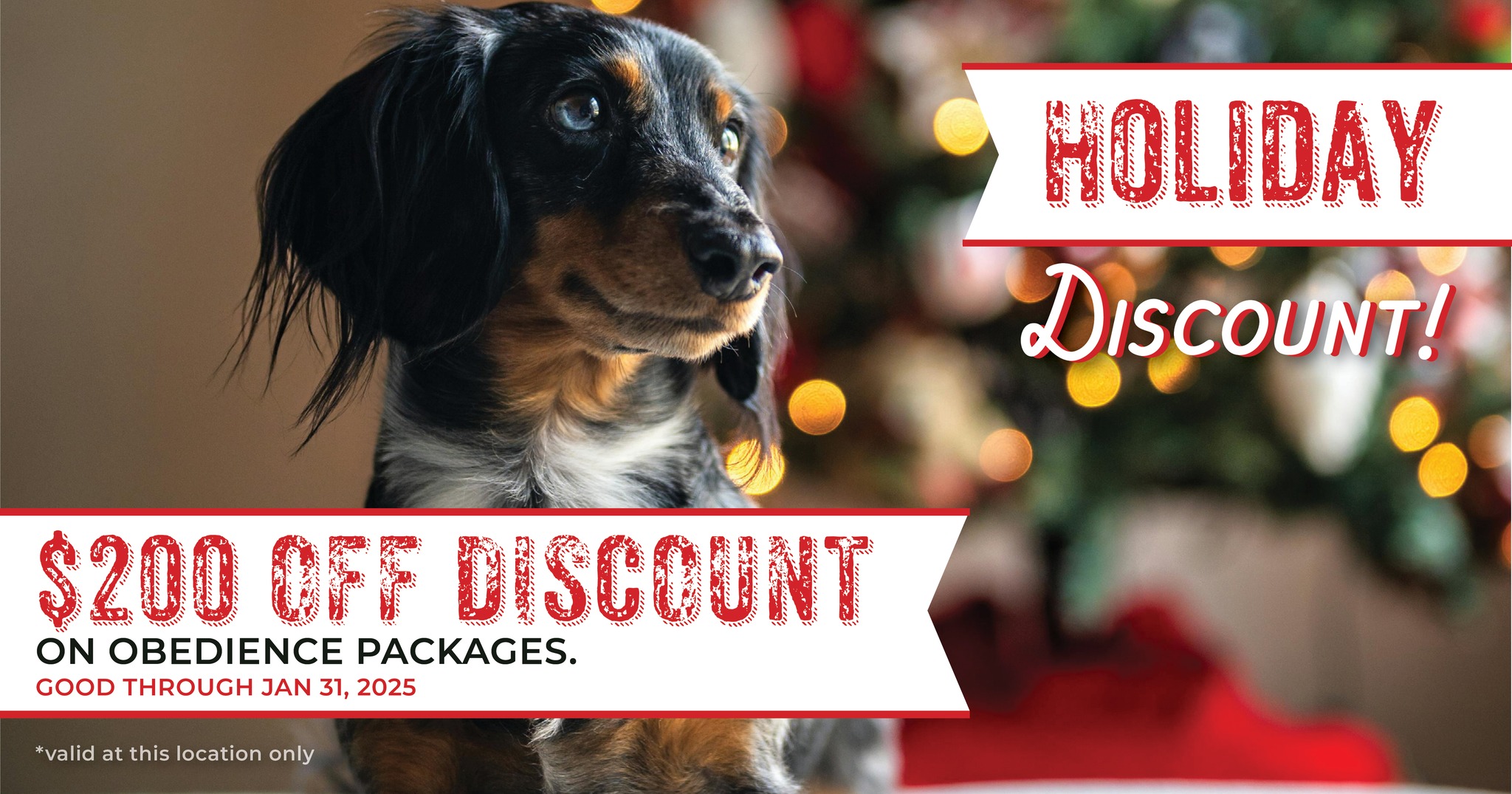 Don't miss our Holiday Discount! Good for $200 off Gold or Platinum Training Program!

Schedule a consultation today! ➡  https://shorturl.at/hPnqA