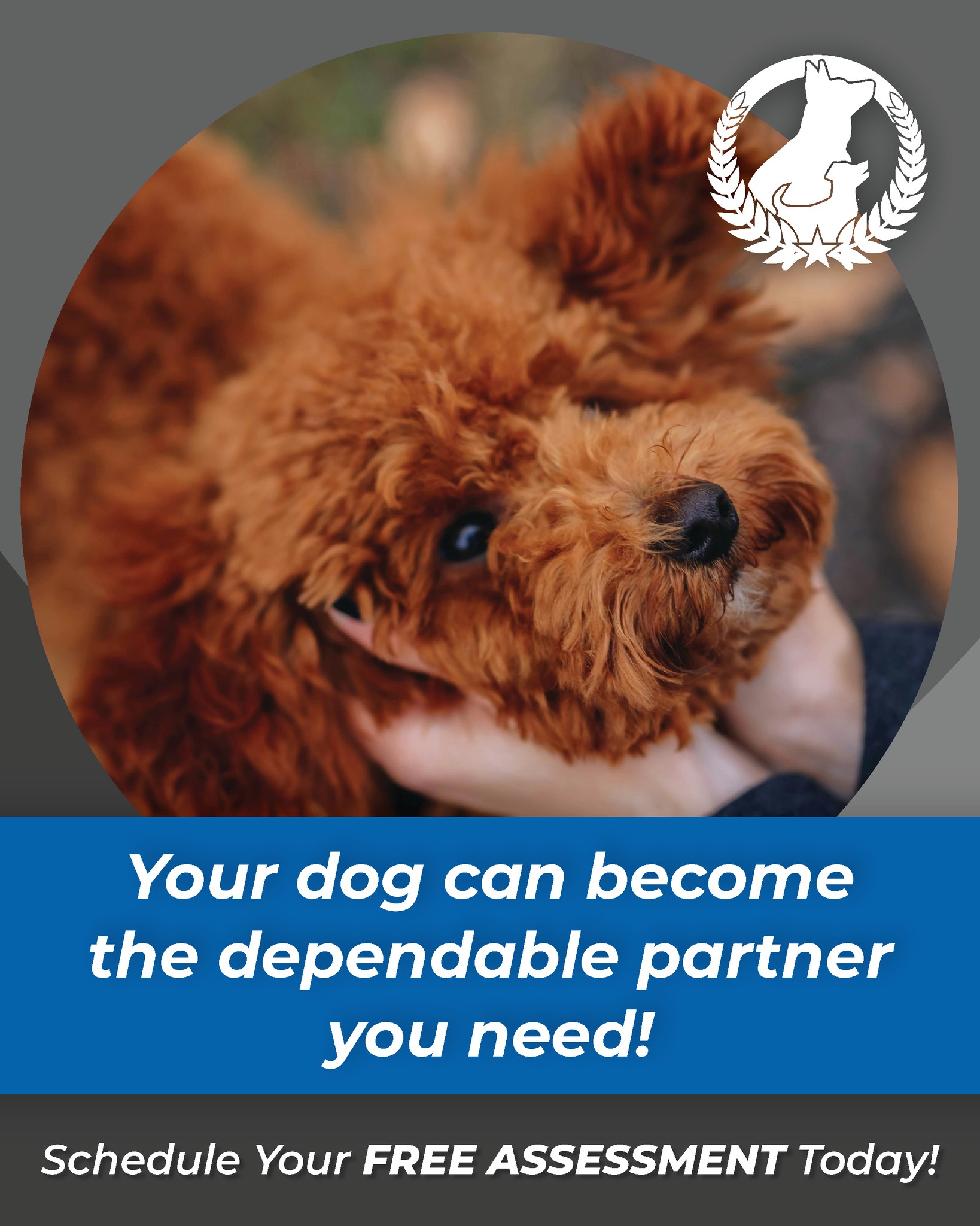 🐾 From playful pup to loyal companion, a well-trained dog becomes more than a pet — they become a dependable partner you can always count on. 💛🐶