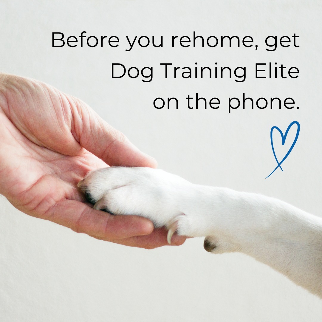 According to a recent survey conducted by Forbes Advisor, 1 in 4 people have serious regrets about getting a dog.
But here's the reality . . . if you surrender your dog while it has training or behavioral issues, the chances of that dog being rehomed or surrendered again is much greater!
Before you call it quits, give your dog the chance to show you how ELITE he can be. Give him a shot with the best dog training method in the area! We get results.