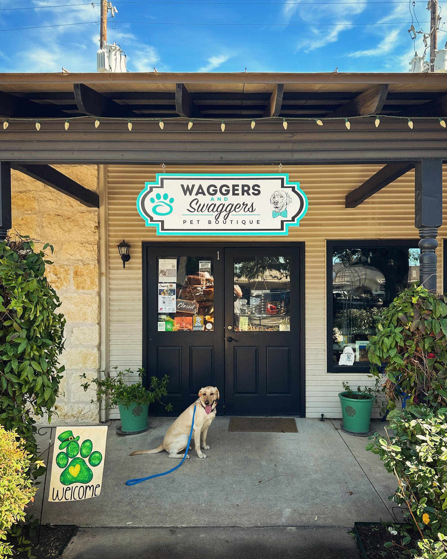 We&rsquo;ll be out at Waggers & Swaggers Pet Boutique in Marble Falls this coming Saturday the 6th from 11am-2pm to celebrate their anniversary! We&rsquo;re hoping to see some clients - past, current, & future! We&rsquo;re also gonna snag some cute pet merch and yummy dog treats. Come see us!🦴🐶🐾 