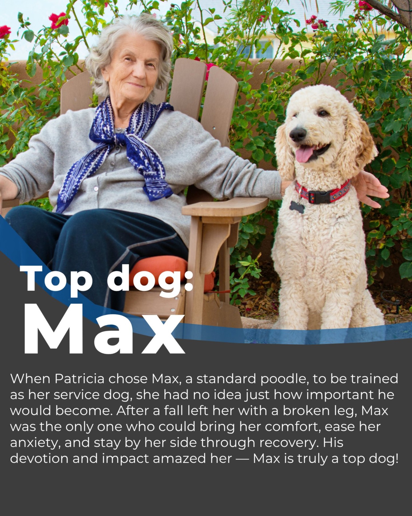 Patricia chose Max, a standard poodle, to be trained as her service dog. She had no idea just how important he would become.

 Injury, fear, and the unknown—Max was ready for all of it.
Trained as a psychiatric support dog and mobility aid, he helped Patricia find her footing again—literally and emotionally.

