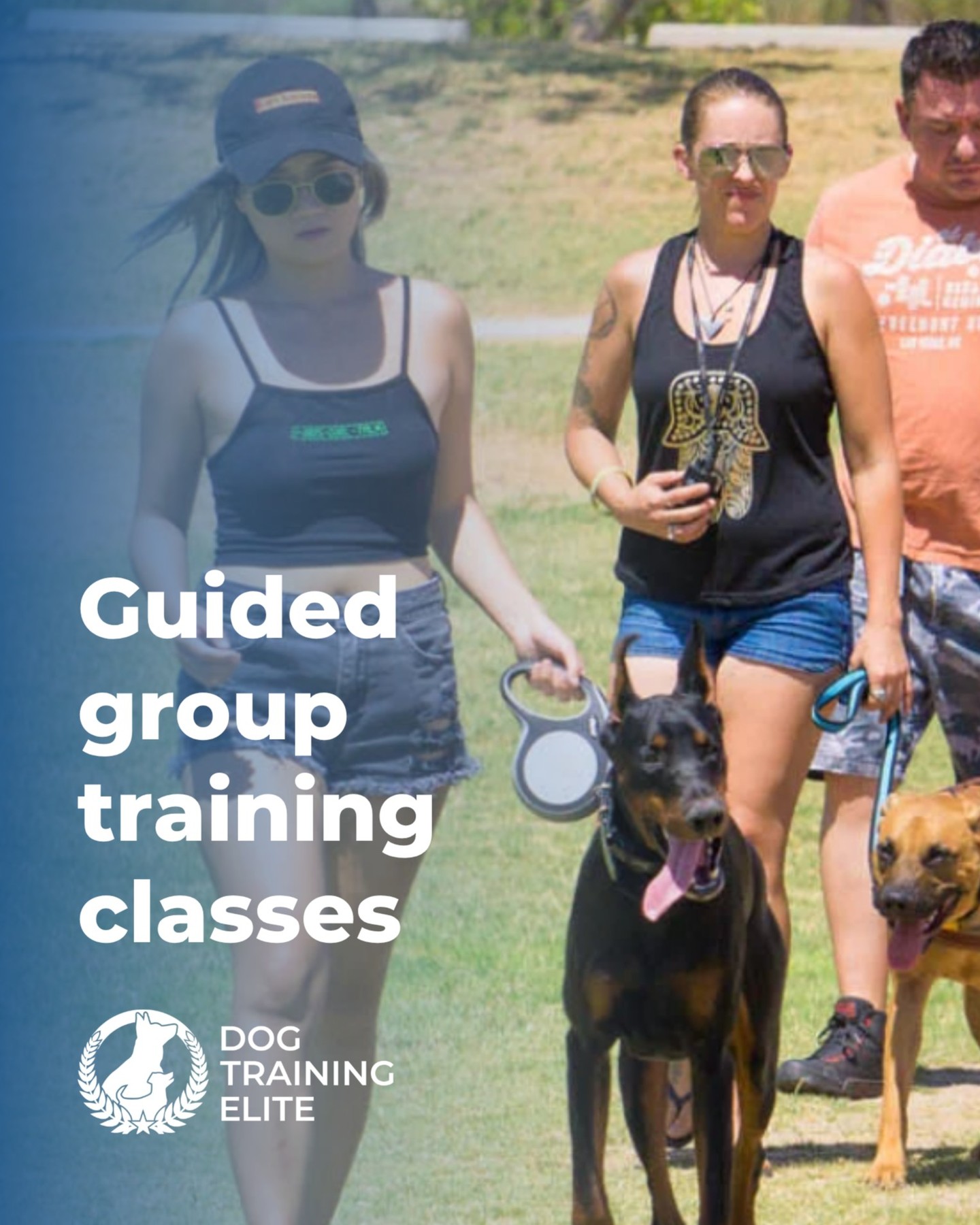 At Dog Training Elite Hill Country, our group classes offer an engaging and supportive environment for dogs and their owners.

You can expect a mix of practical training exercises, guidance from experienced trainers, and a strong sense of community with fellow dog owners after signing up for a class.

Group classes are included in most dog training packages. 

Learn more:  https://dogtrainingelite.com/hillcountry

