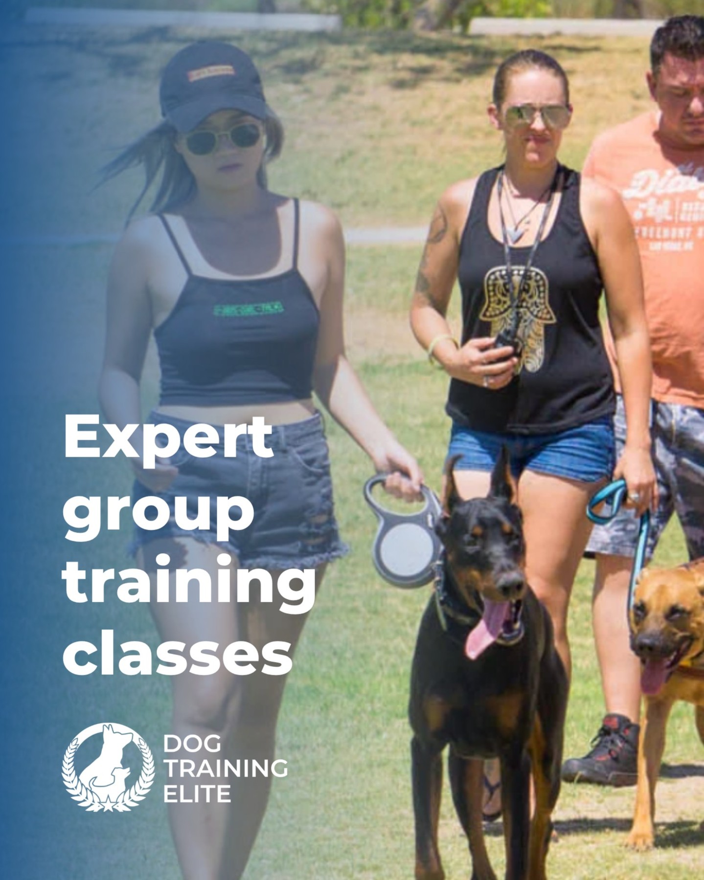Group Classes in Huntsville 🐾

 Build real-world obedience, focus, and social skills in a fun, supportive setting led by our expert trainers.

What to expect:
 ✔️ Distraction training in a controlled environment
 ✔️ Socialization with other local pups
 ✔️ Hands-on coaching from our Huntsville team
 ✔️ A welcoming community of dog owners

Available as part of Dog Training Elite training packages!

📍 Serving Huntsville, Madison & surrounding areas
 https://dogtrainingelite.com/huntsville/pricing

