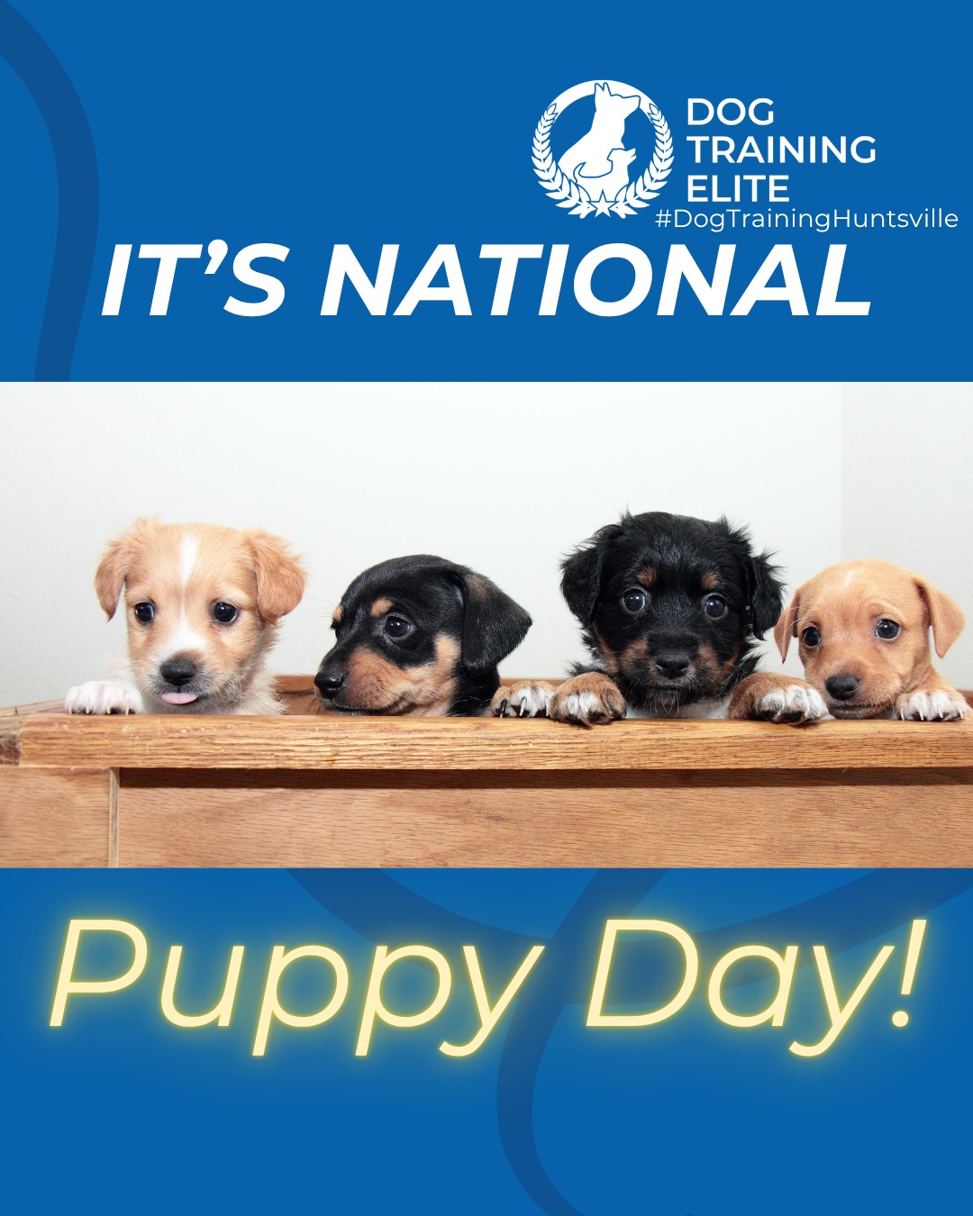 Happy National Puppy Day to those who celebrate! 

Today is all about the tiny paws learning big lessons. National Puppy Day is the perfect reminder that early training sets the foundation for a confident, well-mannered adult dog.

Puppy training focuses on more than just cues. It helps with healthy socialization, clear boundaries, potty routines, and building confidence in new environments. The earlier your pup learns structure, the easier life becomes for both of you.

Give your puppy the guidance they need to grow into a calm, reliable companion.

🐶 Whether it&rsquo;s leash manners, obedience, or service training, Dog Training Elite Huntsville offers personalized programs near Brahan Spring Park (Huntsville) and Creekwood Park, Dog Training Elite Facility (Madison), helping dogs shine all winter long. Cozy season, confident pups. ✨
📍 https://maps.app.goo.gl/Mg5GPWjPAqJ1osvy6



