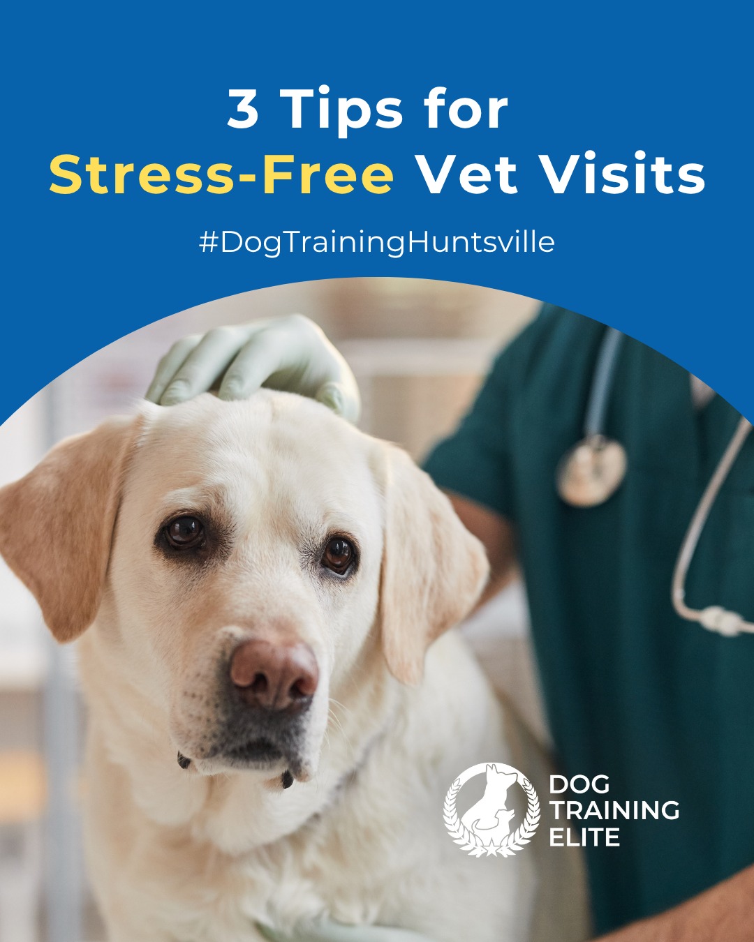 If vet visits feel stressful for your dog, you’re not alone. 💉🐾

New sounds, smells, and handling can trigger anxiety but with the right approach, you can help your dog feel safe and in control.

Here are three quick tips to get your pup prepared.
 🐾 Practice short handling sessions at home
 🐾 Reward calm behavior often
 🐾 Let your dog explore the clinic environment before the visit

Confidence comes from preparation!

🎯 From basic obedience to advanced service dog training, Dog Training Elite Huntsville helps dogs near U.S. Space & Rocket Center build better behavior and stronger bonds this fall. 🐾
 📍 https://maps.app.goo.gl/Mg5GPWjPAqJ1osvy6


