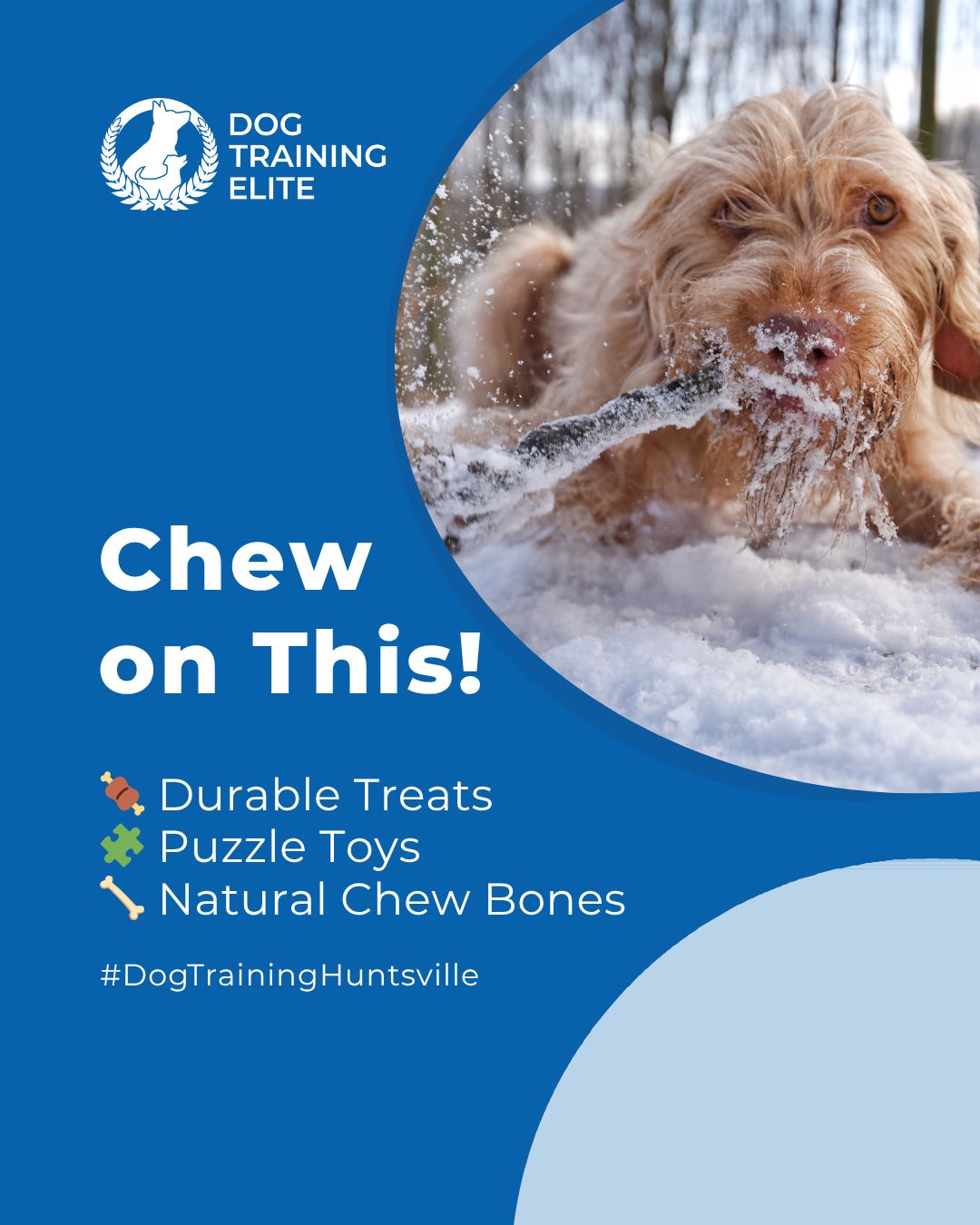 Save your shoes and give your dog something to chew!

Chewing is a natural behavior that helps dogs explore the world, relieve stress, and maintain healthy teeth and gums. 

To guide this behavior effectively:
 🍖 Offer high-value, durable treats that satisfy their urge to chew
 🧩 Provide puzzle toys or treat-dispensing toys to challenge their minds
 🦴 Introduce safe chew items like natural bones, antlers, or dental chews
 ⏱️ Use short, frequent training sessions to reinforce which items are appropriate

🐾 From basic obedience to advanced service dog training, Dog Training Elite Huntsville helps dogs near U.S. Space & Rocket Center build better behavior and stronger bonds this fall. 🐾


 
