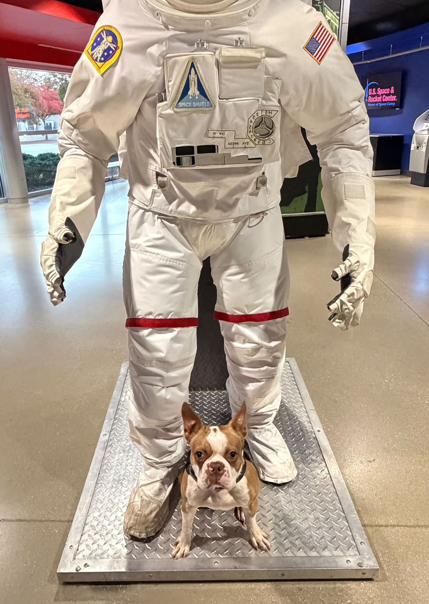 Advanced group outing to The US Space and Rocket Center.