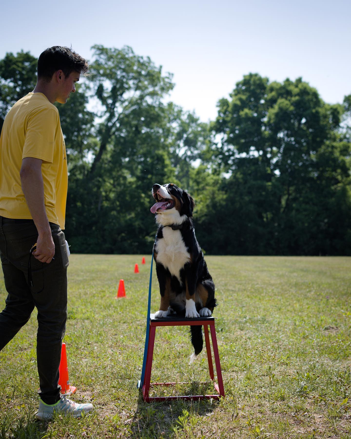 For todays What is it Wednesday we are talking about checking in. 

Checking in is when your dog looks at you for guidance, direction or just to see how you are. We want to foster this as much as possible to build the bond between handler and pup. 

Dogs look to us for guidance and to see how we are reacting to situations. If you are anxious your pup will see that but if you are calm they’ll see that too! Being mindful of our reactions and being confident leaders for our pups helps them relax and feel confident themselves. 








