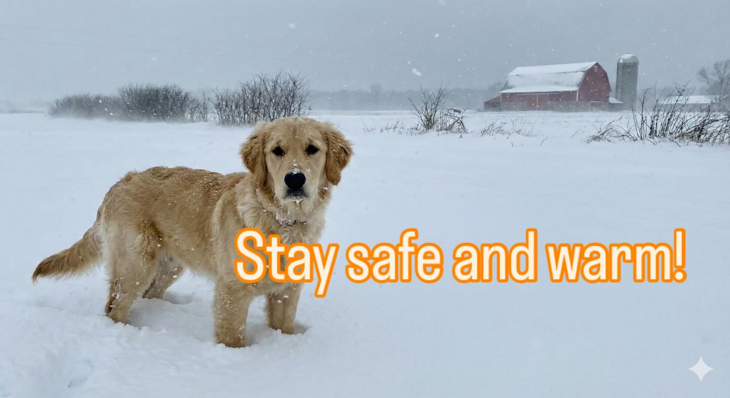 Well, again in the interest of everyone’s safety, we’re canceling Cool Creek Park group class for today (12/13/2025). We’ll see you back out there soon! 
❄️☃️🌨️🐕🐶


