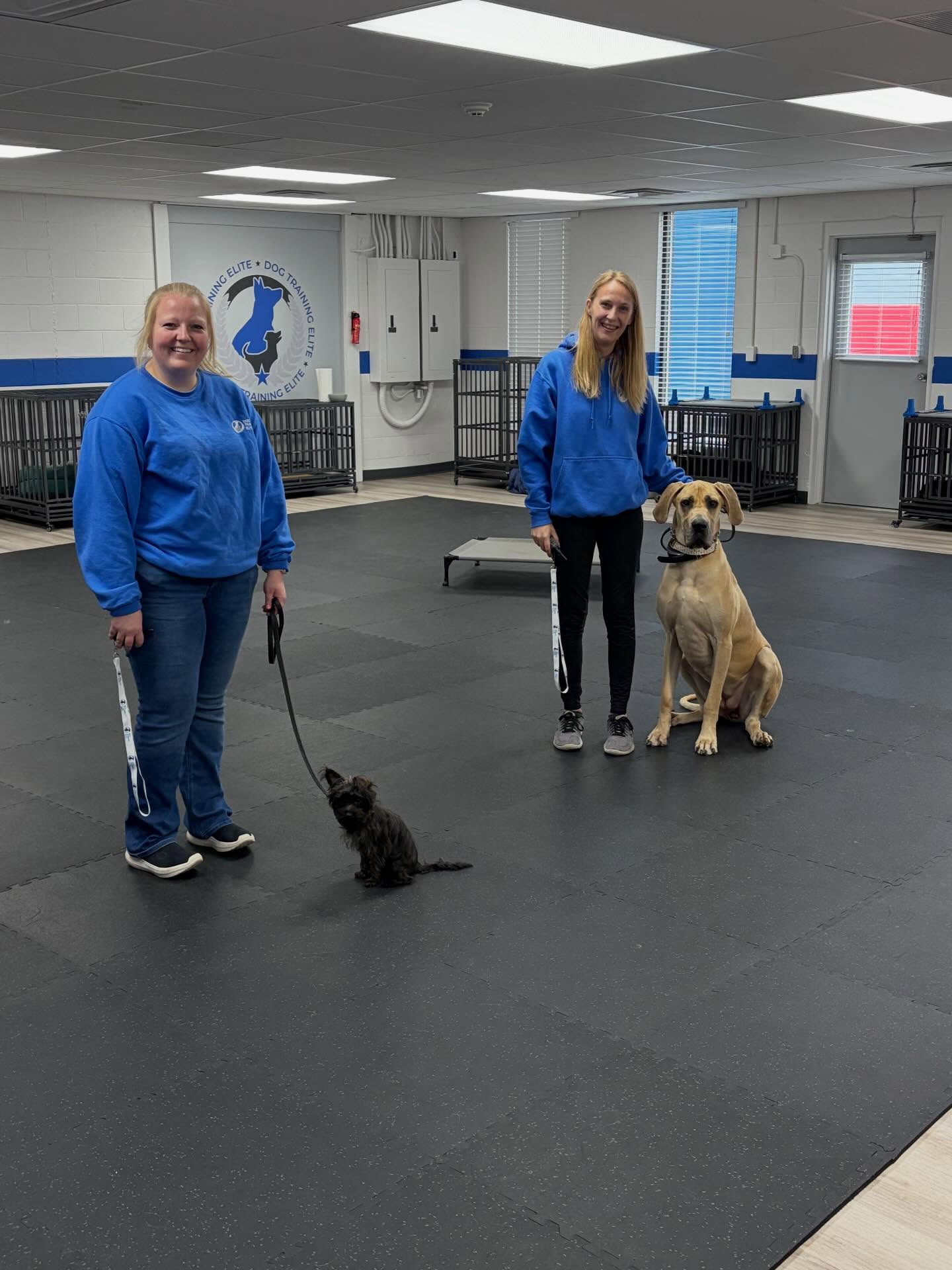 Large or small, we train them all!  Annie and Anika working with Sammy (the little guy) and Lillian (the slightly larger one) at Elite Training Camp. 
