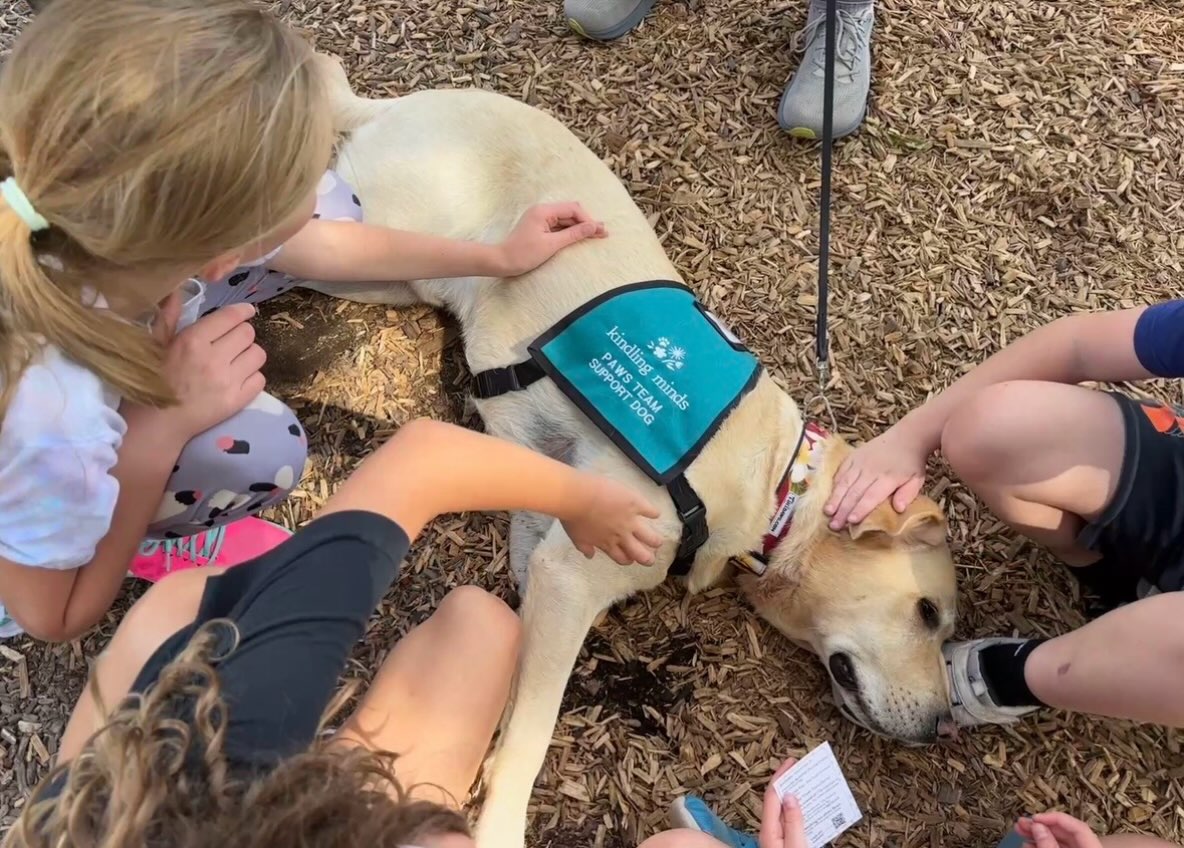 No, Bean hasn&rsquo;t crossed the rainbow bridge - but he&rsquo;s sure found heaven right here on the playground, flat on his back, soaking in scratches and belly rubs from a whole crowd of kids during recess. 

We&rsquo;re honored to be doing therapy work with the PAWS Wellness Support Program through Kindling Minds. Their volunteer dog/handler teams bring stress relief and connection to kids across Central Indiana.

If your dog&rsquo;s got the right temperament, this kind of work is worth exploring. We can help you and your pup prepare to do this rewarding work and we&rsquo;ll gladly assist you in connecting with Kindling Minds too. 





