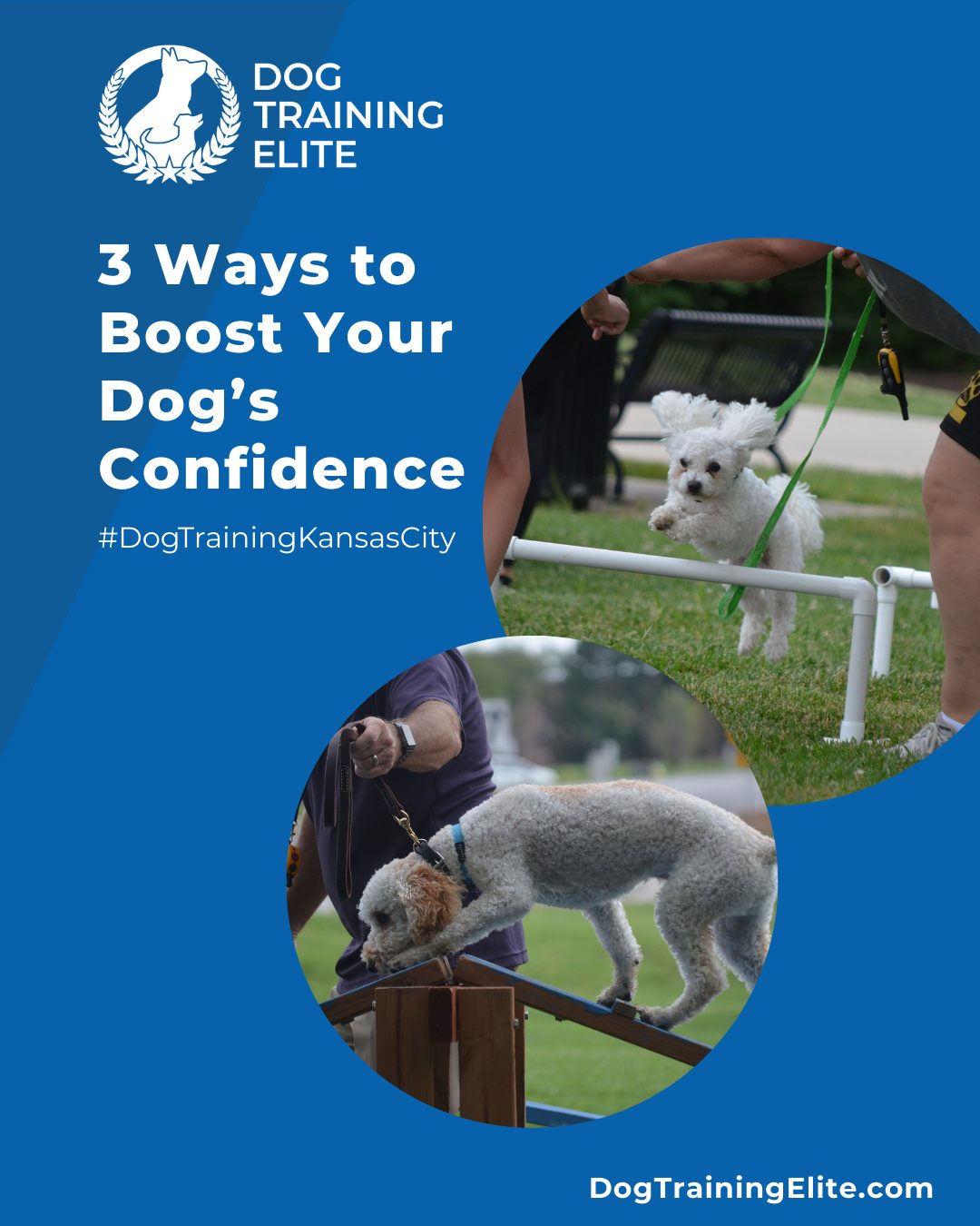 Confidence is key for any dog, especially service dogs. 

At Dog Training Elite Kansas City, we help dogs develop skills and independence through:
🌳 New Experiences – Safely introduce your dog to new environments and people.
 🧩 Challenge Games – Puzzle toys and problem-solving tasks strengthen mental skills.
 💖 Praise & Encouragement – Reward small victories to build trust and confidence.

Our expert trainers guide every step of the way, helping dogs and handlers build strong, reliable partnerships—whether practicing at home, in public, or in structured sessions with our team.

🎯 Ready for a happier, calmer pup? 🐾 Schedule your free in-home evaluation and see why neighbors across Kansas City, Overland Park, and Lee's Summit count on Dog Training Elite.
 🐾 Serving Kansas City, Overland Park, Lee's Summit, and surrounding areas


 