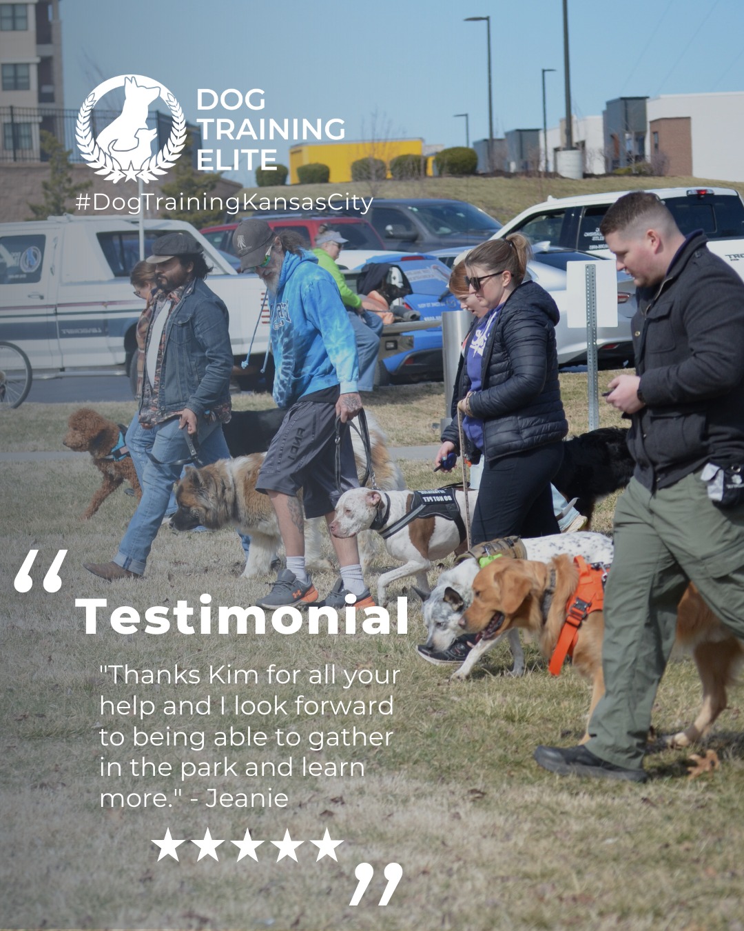 Kim has been working with Teddy and I. Teddy is a smart cavapoo. And spoiled rotten but each day we get better. The real test will be when the 6 grandchildren show up all at once. He is what Kim calls a Velcro dog. Very attached to me. Thanks Kim for all your help and I look forward to being able to gather in the park and learn more. - Jeanie
 Review from a happy customer 🐾

Ready to see real results?

Watching a dog grow and succeed is always rewarding. From improved focus and confidence to better behavior at home and in public, every transformation is unique. Let us help your dog reach their full potential and strengthen your bond together.

 🎉 Warm up your winter with a well-trained pup. Schedule your free in-home evaluation and see why families in Kansas City, Overland Park, and surrounding areas trust Dog Training Elite for results that last through every season.
 📍 https://maps.app.goo.gl/gRdBPWCrfbzeXenu9

 

