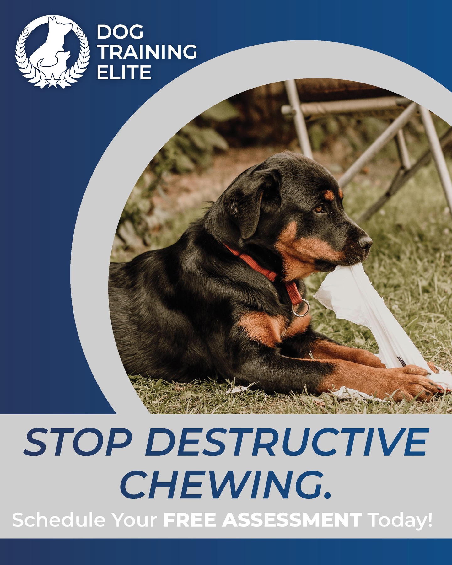 Proper training helps address excessive chewing by teaching dogs what is appropriate to chew on and how to redirect their energy in a productive way. Chewing is often driven by boredom, anxiety, teething, or lack of structure, and training provides clear boundaries along with consistent guidance. Combined with mental stimulation, exercise, and supervision, training helps reduce destructive chewing while promoting healthier habits and a more balanced, well-behaved dog. 

816-308-6985
https://dogtrainingelite.com/kansas-city