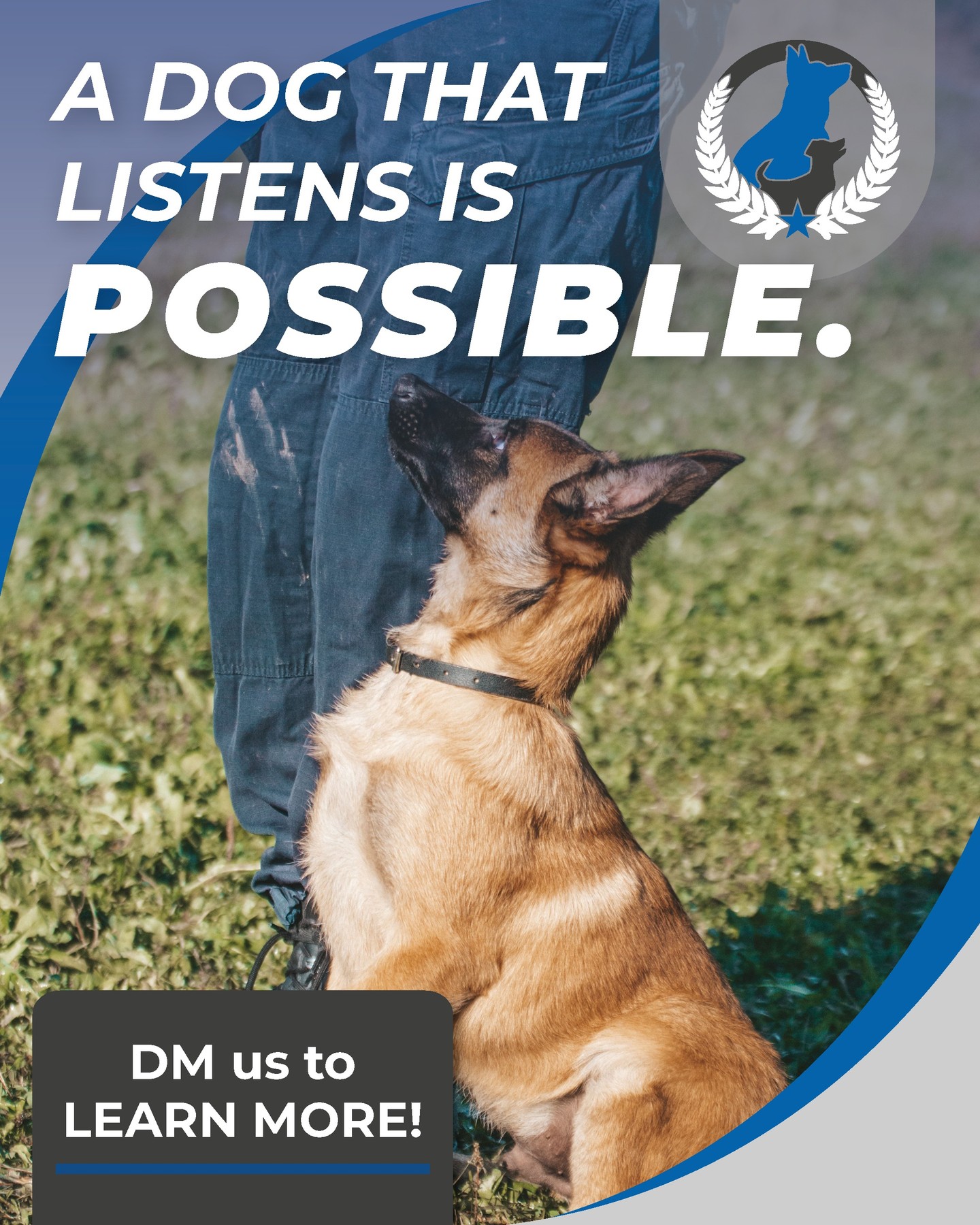 🐶 Believe it or not... you can have a dog that listens the first time. 😲

No bribing with five treats. No repeating Sit seventeen times. No chasing them around the yard in flip-flops.

A well-trained dog isn't a myth&mdash;it's just the result of the right training. 🐾

