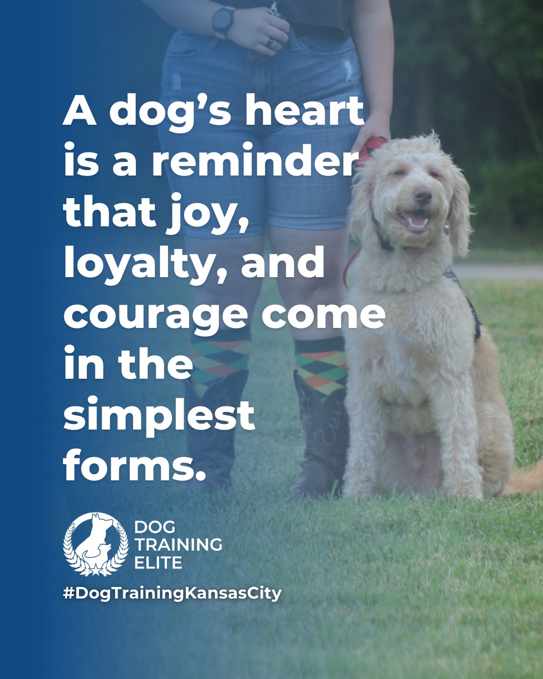 Dogs show us what it means to live fully in the moment. With patience, consistency, and clear guidance, their natural curiosity and loyalty can be shaped into focus, confidence, and cooperation. 

Every wag, nuzzle, and playful leap is a reminder that balanced training isn’t just about commands, it’s about building trust, understanding, and a stronger bond every day. 🐾

🎯 From basic obedience to advanced service dog training, Dog Training Elite Kansas City helps dogs near Overland Park build better behavior and stronger bonds this season. 🐾
 📍 https://maps.app.goo.gl/gRdBPWCrfbzeXenu9



