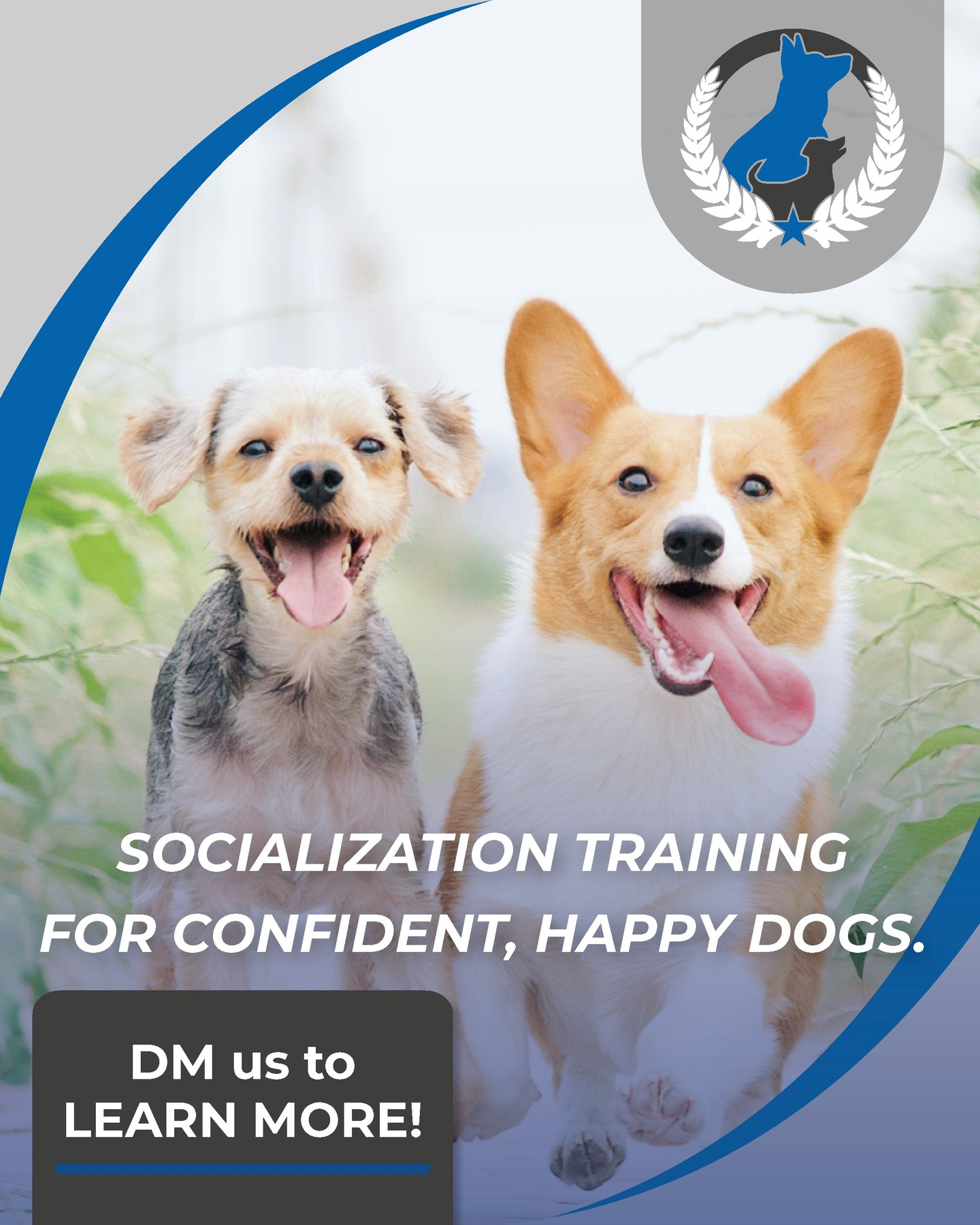 Socialization training plays a key role in helping dogs become more confident and well-adjusted in the world around them. By gradually and positively exposing dogs to different people, animals, environments, sounds, and experiences, they learn that new situations are safe and manageable. This steady exposure helps reduce fear and uncertainty while building resilience and curiosity. Call us today to see how we can help! 

816-308-6985
https://dogtrainingelite.com/kansas-city