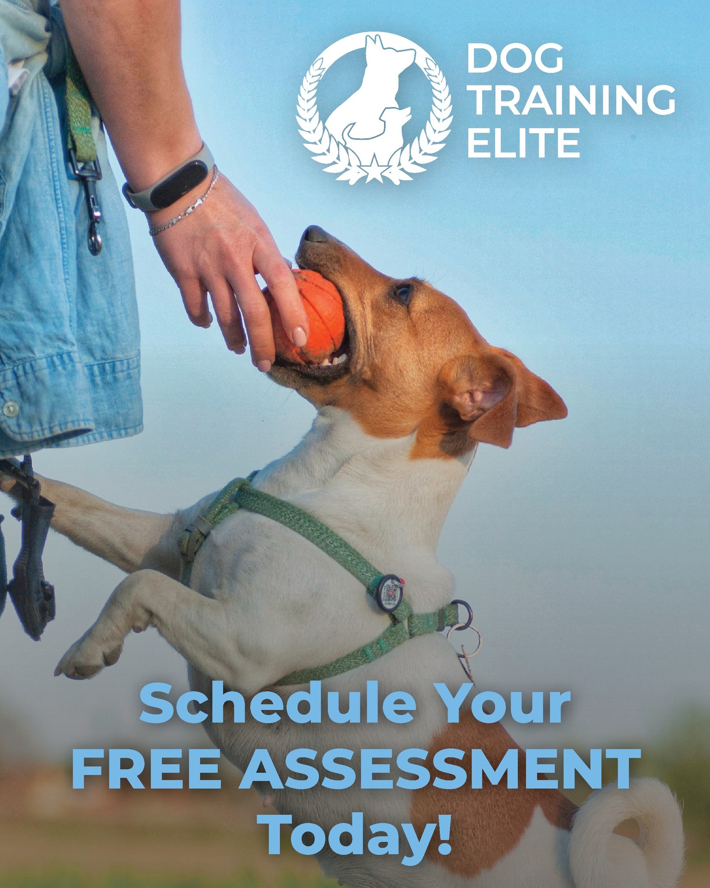 🏡🐾 Great training starts with understanding your dog.

That's why Dog Training Elite offers FREE in-home consultations! We'll meet you where your dog is most comfortable, get to know your goals, and create a customized training plan that fits your lifestyle.

No pressure. No obligation. Just expert advice to help you and your dog succeed.

Schedule your free consultation today!

