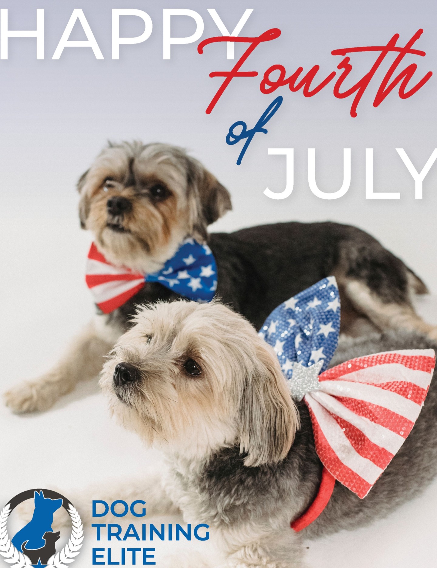 Happy Fourth of July from all of us at Dog Training Elite Kansas City!

Whether you're grilling in the backyard, spending time with family, or watching the fireworks from afar, we hope you and your four-legged best friend have a fun and safe holiday.

Remember to keep your pup secure, provide plenty of water, and give them a quiet place to relax if the celebrations become a little too loud. With a little preparation, everyone can enjoy Independence Day together!

Wishing you a day full of freedom, fun, and wagging tails. ❤️🤍💙

