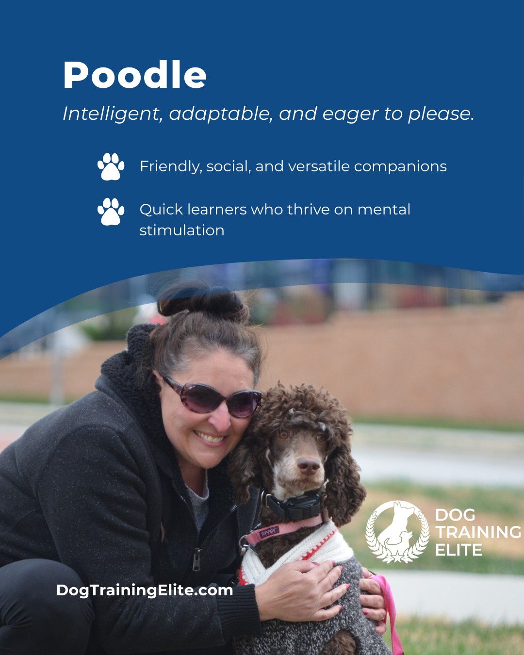 Poodles aren’t just stylish, they’re brilliant problem solvers and highly trainable. Their intelligence and eagerness to engage make them ideal candidates for obedience training, service work, and active family life. With balanced guidance, they develop focus, confidence, and a strong bond with their handler.

🎁 Ready to unwrap the gift of a well-behaved dog? Schedule your free in-home evaluation and discover why Country Club Plaza and Oak Park families rely on Dog Training Elite, through the holidays and beyond.
 📍 https://maps.app.goo.gl/gRdBPWCrfbzeXenu9



