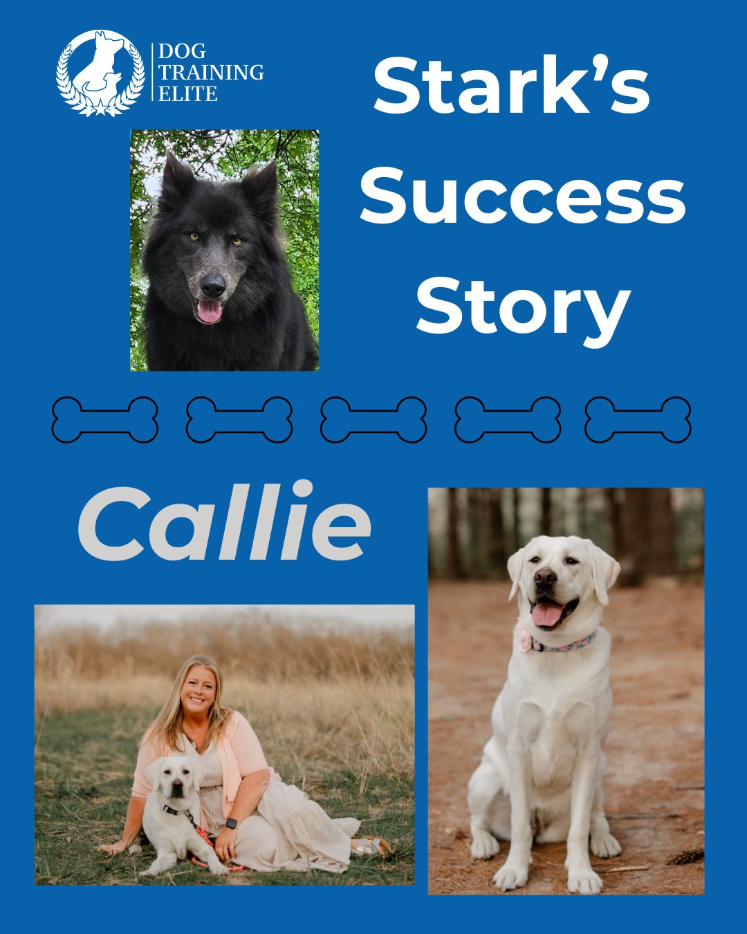 &ldquo;Callie is the sweetest cuddle bug, but when it came to greeting strangers or other dogs, her impulsive excitement would take over. Since she's training to become an elementary school therapy dog, she needs to know when to be calm and when it's okay to be playful. That balance was everything.

Our trainer, Kim, listened closely to what Callie and I needed and tailored our training accordingly. It wasn't a one-size-fits-all program. It was built for us.

Today, Callie greets strangers and other dogs without the overexcitement. She waits patiently for the command to meet a new friend. That's a huge milestone for a therapy dog.

Next school year, Callie will walk into her first elementary school and begin changing kids' lives and I can confidently say Kim and Dog Training Elite have been an invaluable part of preparing her for that moment. You can keep up with Callie's journey by following her on Instagram @lifewithcalliewray.&rdquo;
 
 -Ashlie

Call Dog Training Elite Kansas City and find out how your pup could be the next success story!
816-308-6985