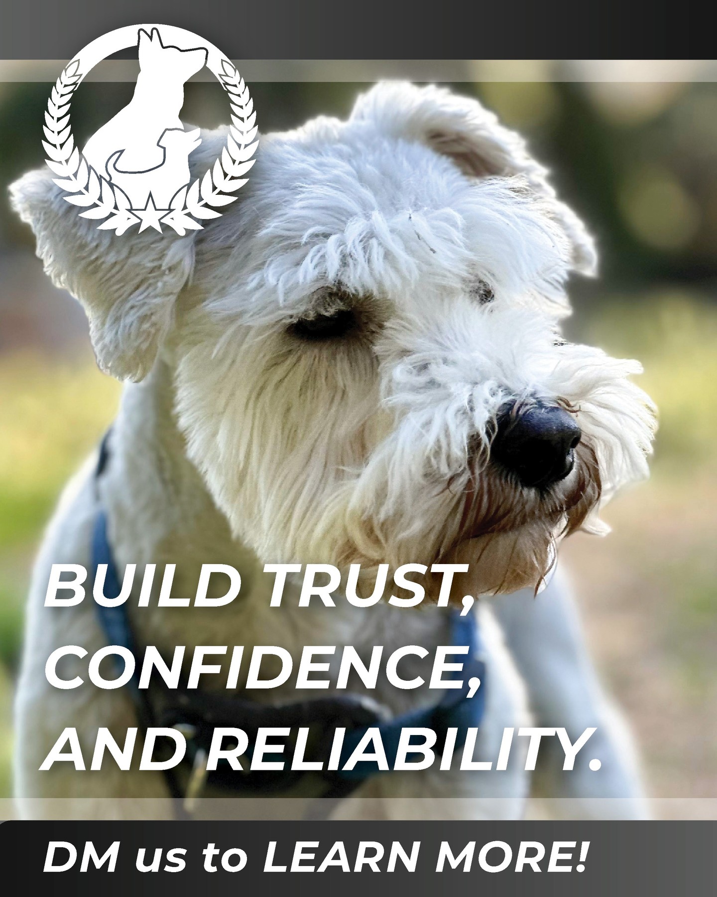 Proper training helps dogs develop the trust, confidence, and reliability they need to thrive in everyday life. By providing clear communication, consistent expectations, and positive guidance, training teaches dogs how to navigate new environments and challenges with calmness and assurance. As their confidence grows, so does their ability to make good decisions, remain focused under distraction, and build a stronger, more dependable partnership with their handler. Call us today to schedule your free in-home consultation!

816-308-6985
https://dogtrainingelite.com/kansas-city