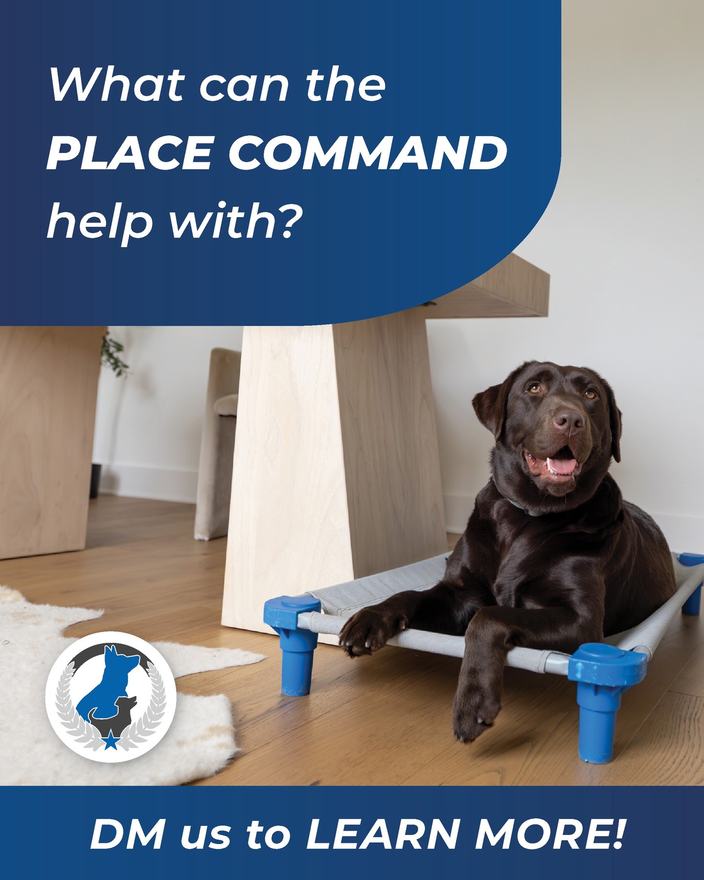 Using the &ldquo;place&rdquo; command gives dogs a clear, structured destination where they can relax and settle, which helps create calmness and predictability in the home. By teaching a dog to go to a designated spot&mdash;like a bed or mat&mdash;and stay there until released, owners can manage behaviors such as jumping, begging, door rushing, or overexcitement during busy moments. It also builds impulse control and patience, helping dogs learn how to be calm even when there&rsquo;s activity around them. Over time, &ldquo;place&rdquo; becomes a valuable tool for improving focus, reducing stress, and creating a more peaceful and well-managed environment for both dog and owner. 

816-308-6985
https://dogtrainingelite.com/kansas-city