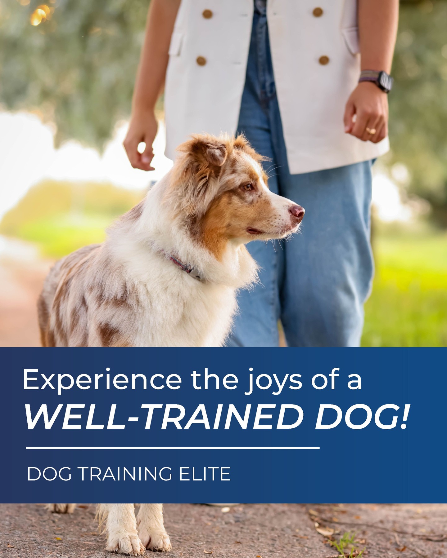The Little Joys of Having a Well-Trained Dog...

Imagine this...

🚪 The doorbell rings... and your dog doesn't audition for the role of neighborhood security alarm.

🚶 You go for a walk... and your shoulder stays in its socket.

🍔 You eat dinner... and your dog doesn't convince you they're moments away from starvation.

👋 Guests come over... and grandma gets hugs instead of being tackled.

🐶 The best part? You stop worrying about what your dog might do and start enjoying everything you can do together.
That's the joy of a well-trained dog. Less chaos. More adventures. And a whole lot more fun.

Ready to experience it for yourself? Dog Training Elite Kansas City is here to help! 💙

