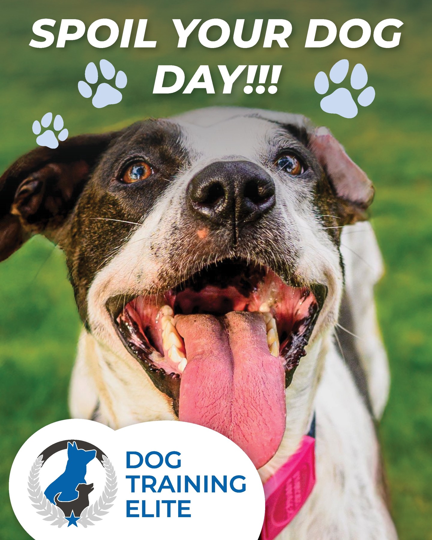 🎉🐾 August 10 is National Spoil Your Dog Day! 🐾🎉

As if your dog hasn't been celebrating this holiday every single day already... 

Today's agenda, according to your dog:
🐶 Breakfast? Add cheese.
🐶 Second breakfast? Obviously.
🐶 Extra treats? Yes.
🐶 Belly rubs? Never stop.
🐶 Take over your side of the bed? It's only fair.

Go ahead and spoil your pup today with an extra walk, a favorite toy, a pup cup, or a fun training session (because treats AND learning? That's a win-win!).
Just remember... spoiling your dog with love is great. Spoiling them with bad manners? That's what we're here to help with! 😉

Happy National Spoil Your Dog Day from all of us at Dog Training Elite Kansas City! ❤️

