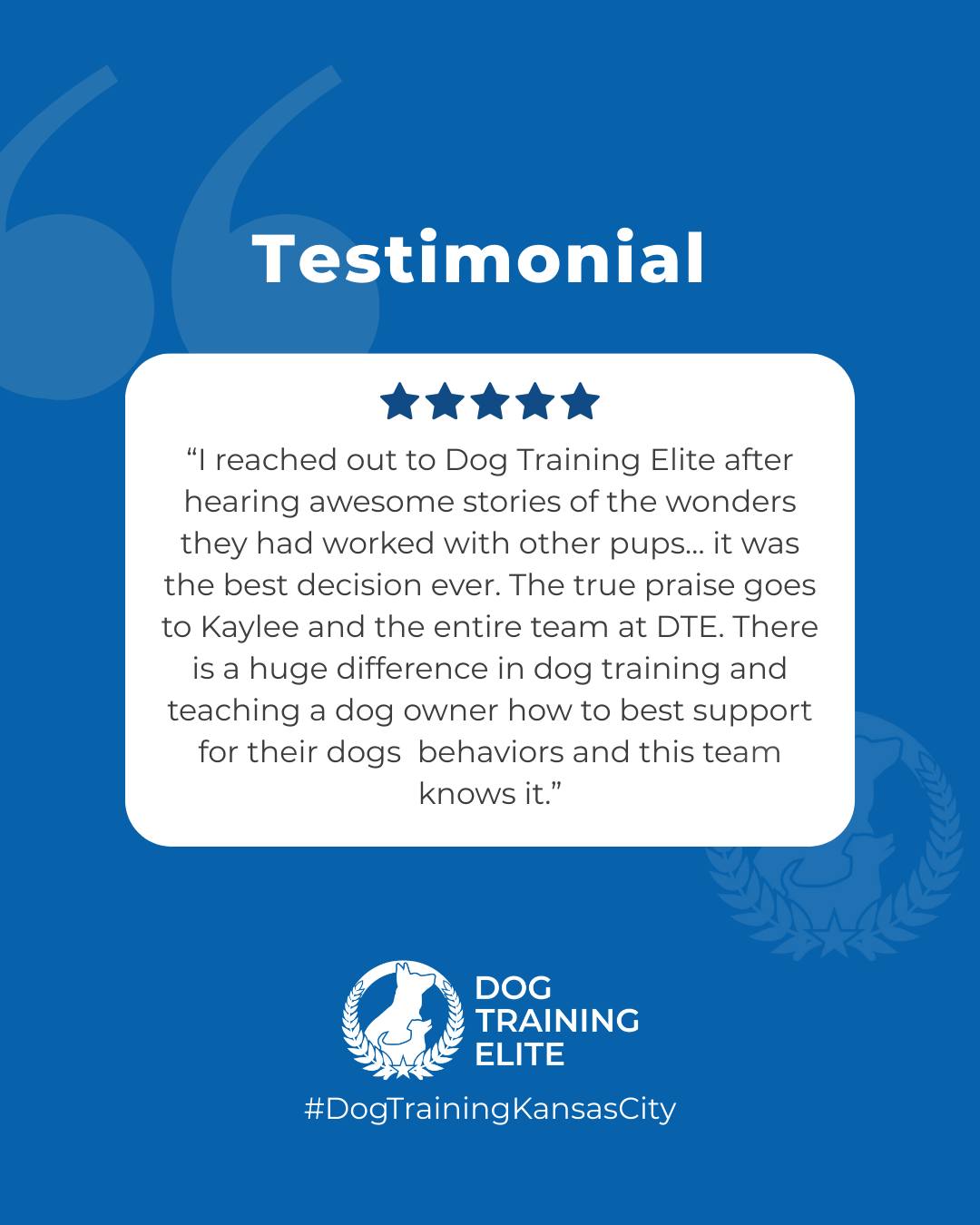 🐾 From Chaos to Calm

At Dog Training Elite Kansas City, we help high-energy dogs learn focus, impulse control, and proper manners—so walks are enjoyable and home life is calm. With our personalized training, even the most energetic pups can become well-behaved, confident companions.

🎯 From basic obedience and leash manners to advanced service dog training, Dog Training Elite Kansas City provides professional in-home dog training that helps dogs near Kansas City Union Station become their best selves—right in your backyard. 🐾🏡
📍https://maps.app.goo.gl/gRdBPWCrfbzeXenu9


