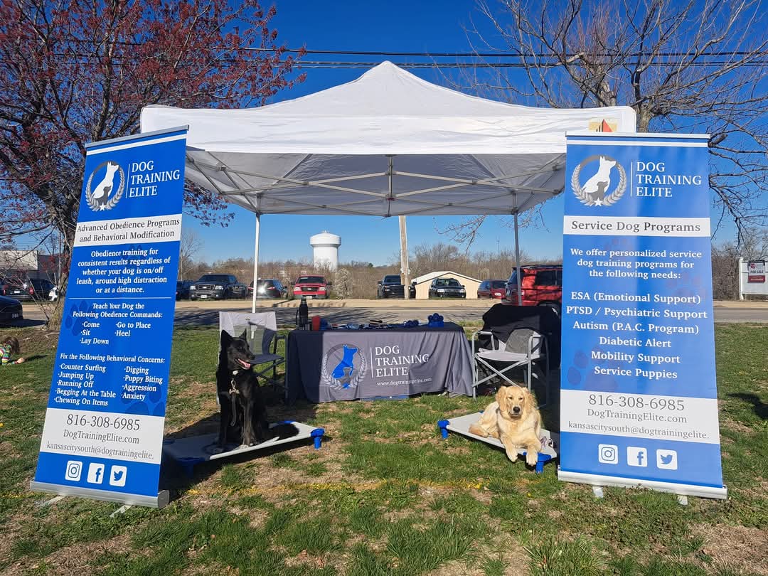 🍂🐾 Calling all dog lovers! Dog Training Elite KC will be at KC Wine Co this Saturday for Fall Fest! 🎃🍷 Swing by, meet our team, and discover how we can help your pup become the best on the block. Bring your friends, sip some wine, and let’s connect! See you there! 🐶✨ 