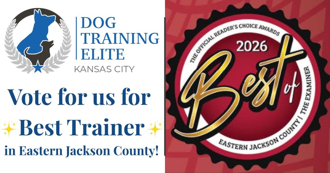 Remember, now is the time to vote for Dog Training Elite for Best Trainer in Eastern Jackson County! You can vote once per day through October 4th! Just click the link below: 
https://www.examiner.net/