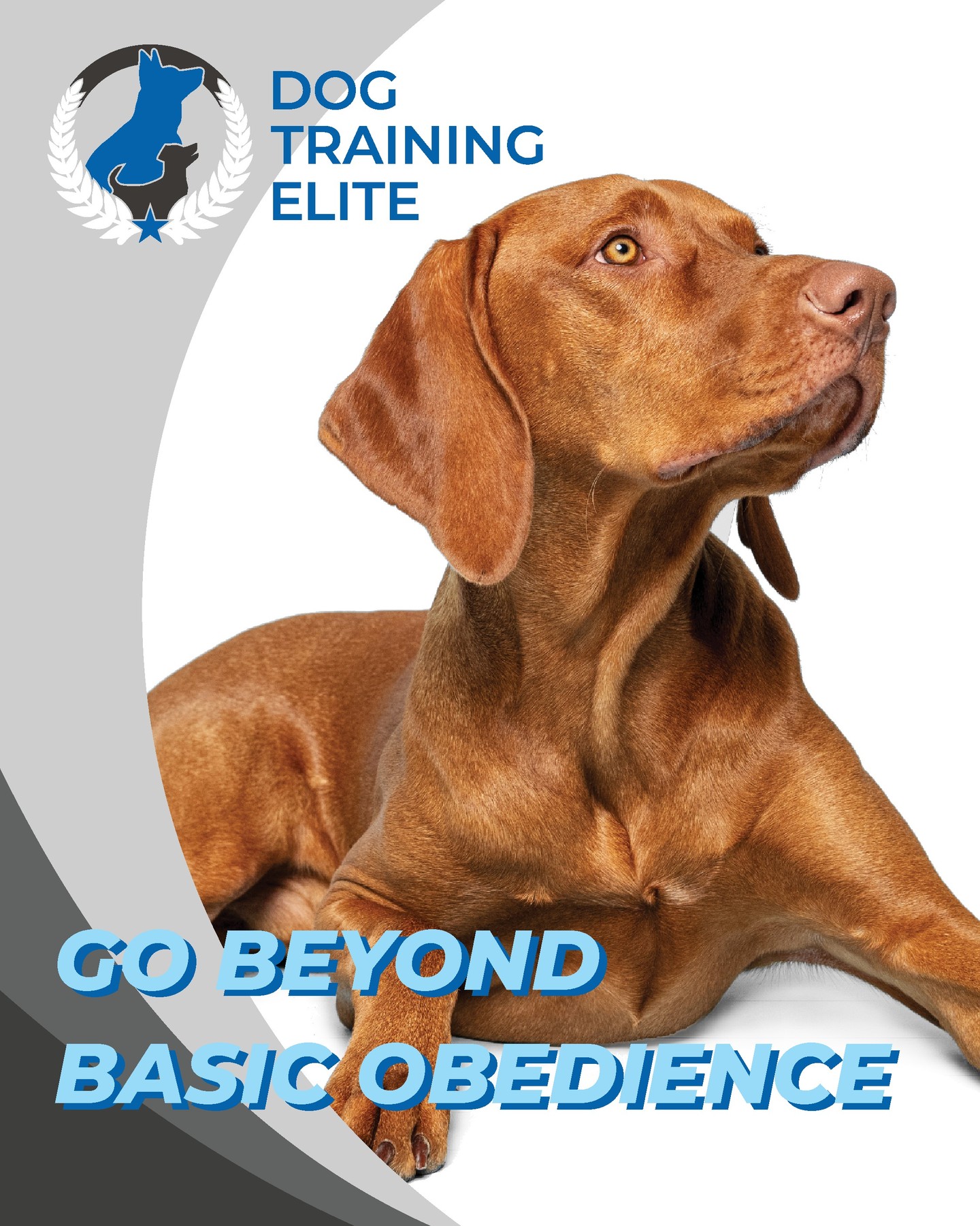 Going beyond basic dog training means moving past simple commands like &ldquo;sit&rdquo; and &ldquo;come&rdquo; to build a deeper level of communication, reliability, and real-world behavior. It focuses on helping dogs stay calm and responsive in distracting environments, make better decisions under pressure, and maintain consistency across different settings. The result is a well-rounded dog that isn&rsquo;t just obedient at home, but dependable, focused, and adaptable wherever life takes them. Call us today to schedule your free in-home consultation!

816-308-6985
https://dogtrainingelite.com/kansas-city
