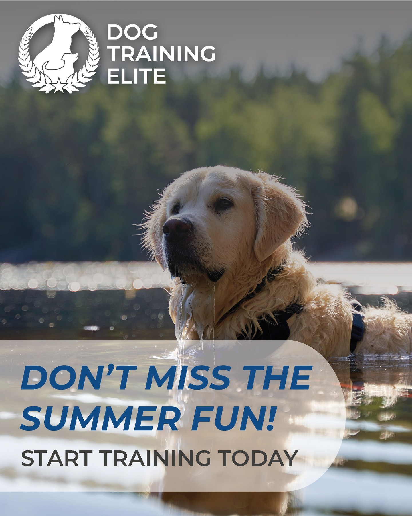 ☀️ Don't let your summer plans get canceled because your dog thinks come is just a friendly suggestion!

A well-trained dog means more hikes, hangouts, vacations, and adventures&mdash;and fewer apologies to strangers.

This summer, train more. Stress less. Adventure together! 🐾


