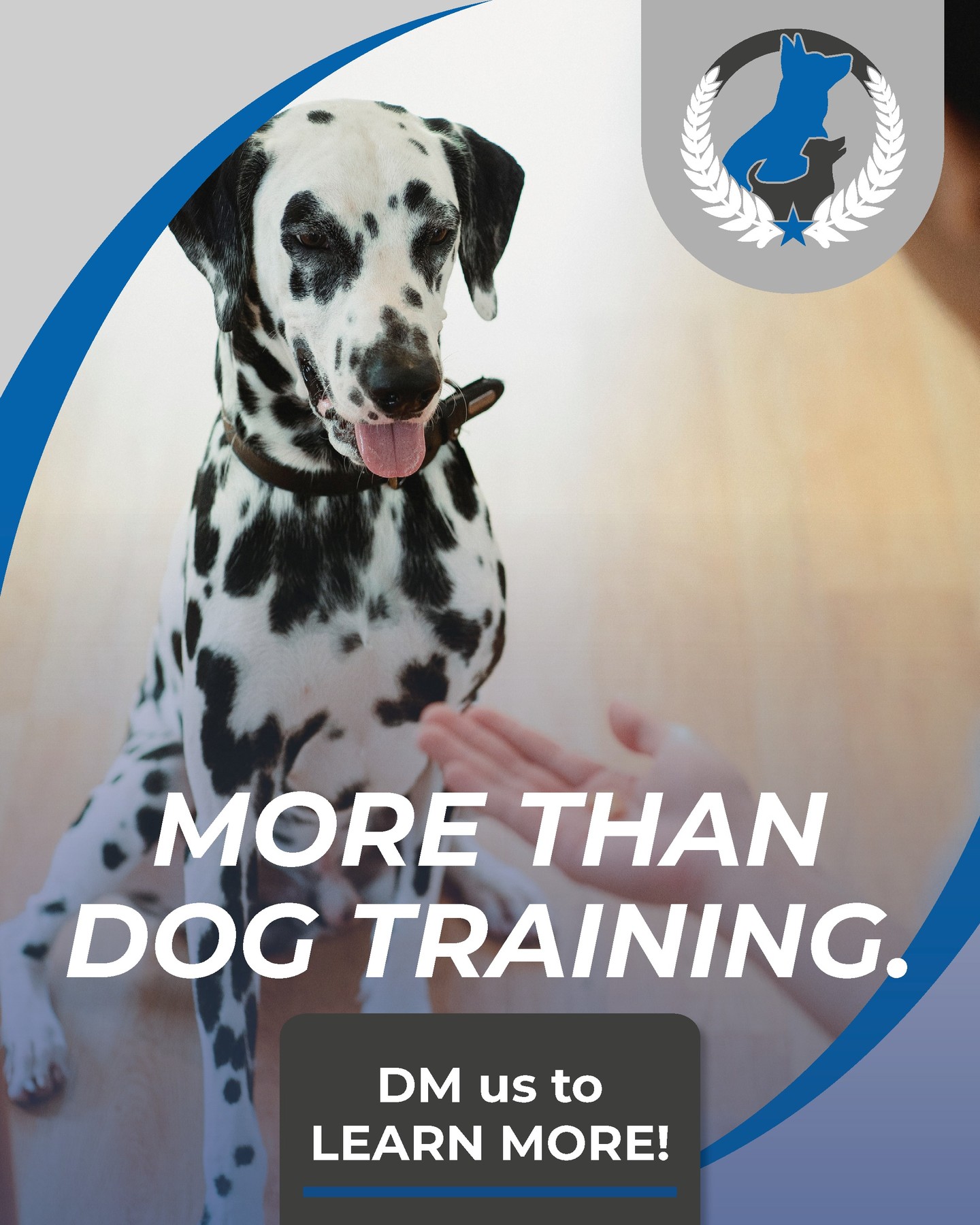 🐾 Dog Training Is About So Much More Than Training. ❤️

It's about coming home to a peaceful house instead of daily frustration.

It's about building a relationship based on trust, communication, and understanding.

It's about enjoying walks instead of dreading them, welcoming guests with confidence, and bringing your dog along on life's adventures.

Most of all, it's about having the dog you've always dreamed of&mdash;not because they're perfect, but because you and your dog have learned how to work together as a team.

At Dog Training Elite, we don't just train dogs&mdash;we help build stronger relationships and better lives for both ends of the leash.

Because the best part of training isn't the commands... it's the life you get to enjoy together. 🐶💙

