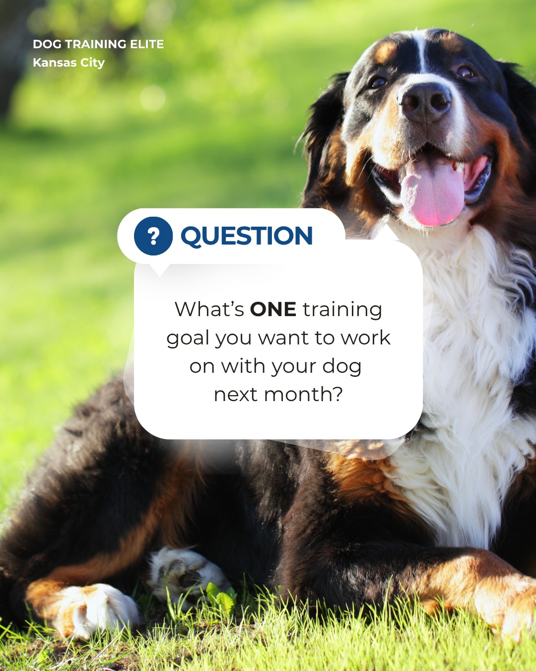 Before September wraps up, check in on your dog&rsquo;s progress. 🐾

What&rsquo;s the next goal you want to work toward: better recall, calmer walks, more focus, or something else?

At Dog Training Elite Kansas City, we help dogs and their owners in Kansas City turn training goals into real-world results.

Tell us your goal in the comments!

