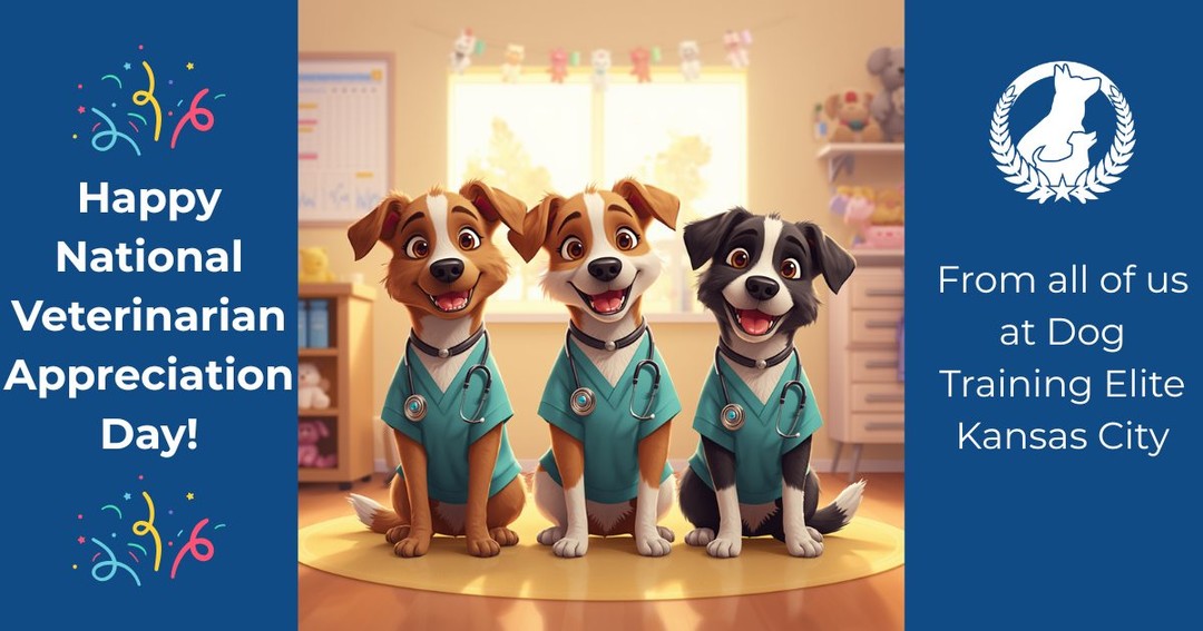 Happy National Veterinarian Appreciation Day! 🐾

Today we celebrate the caring vets who keep our pets healthy, comfort families, and make a difference for animals every day. Thank you for all you do! 💙


