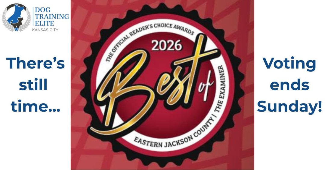 It's not too late to cast your vote for Best Dog Trainer in Eastern Jackson County! Remember, you can vote once per day. Voting ends this Sunday!
 
https://www.examiner.net/